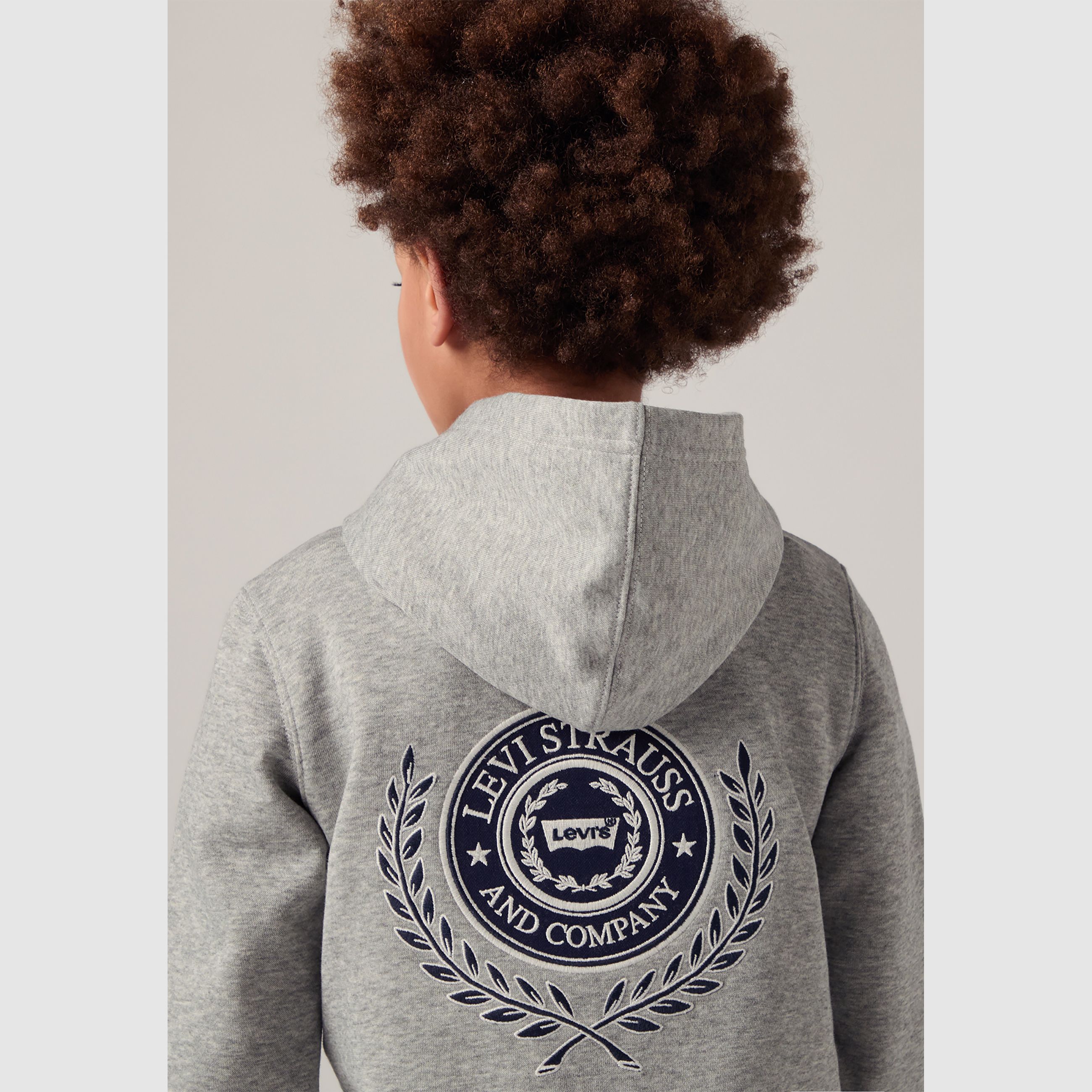 Kids Modern Crest Pullover Hoodie - Grey | Levi's® GB