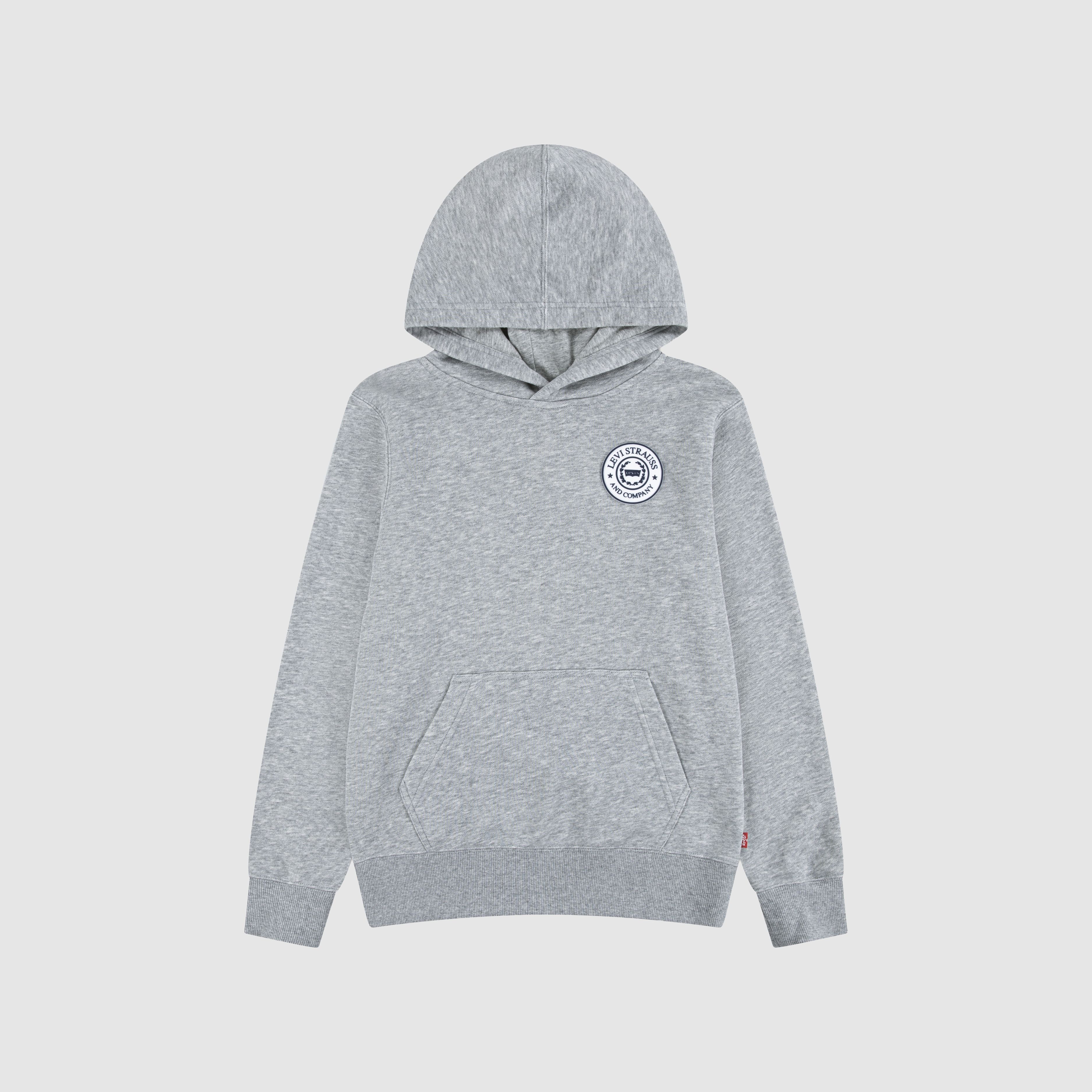 Teenager Modern Crest Pullover Hoodie 4