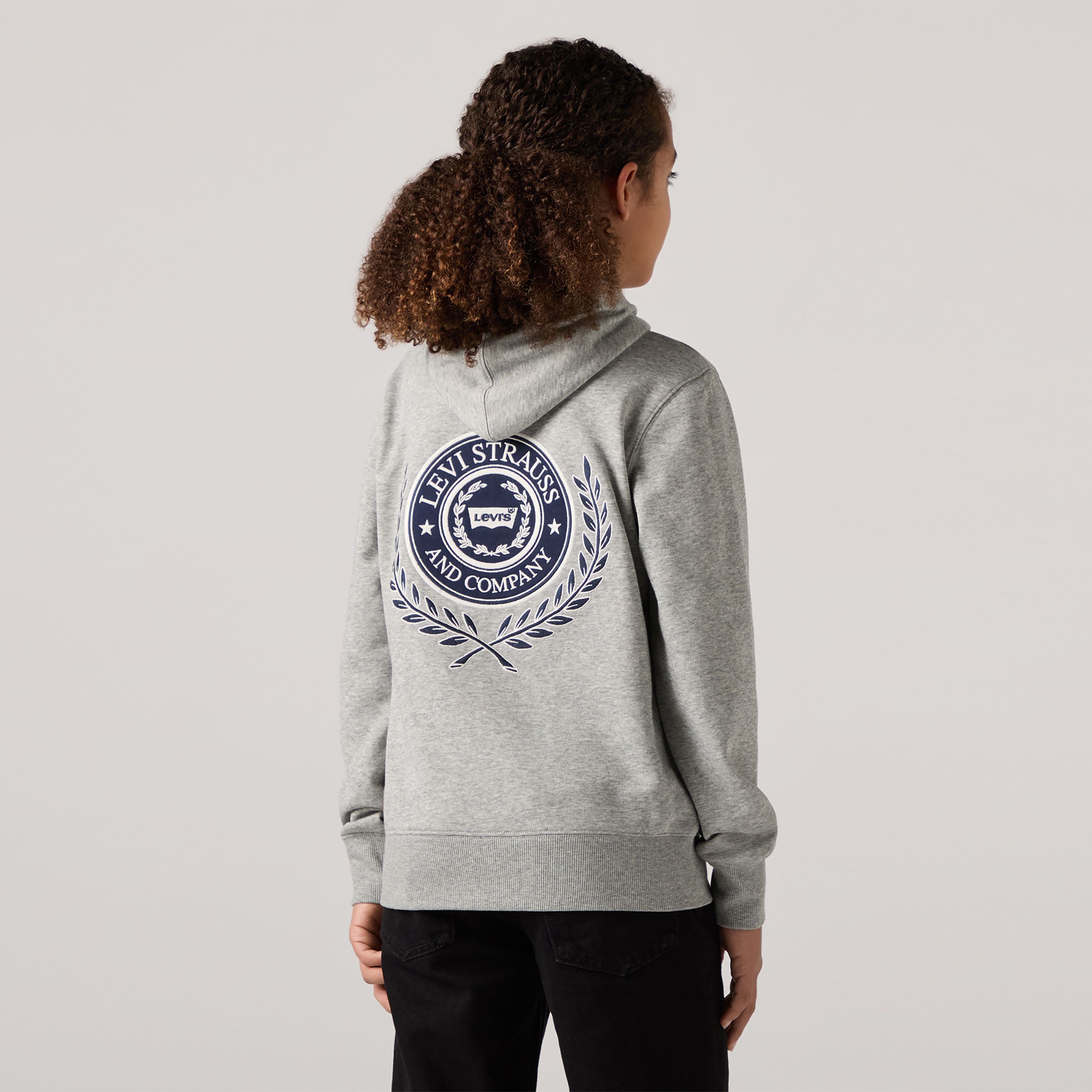 Teenager Modern Crest Pullover Hoodie 2