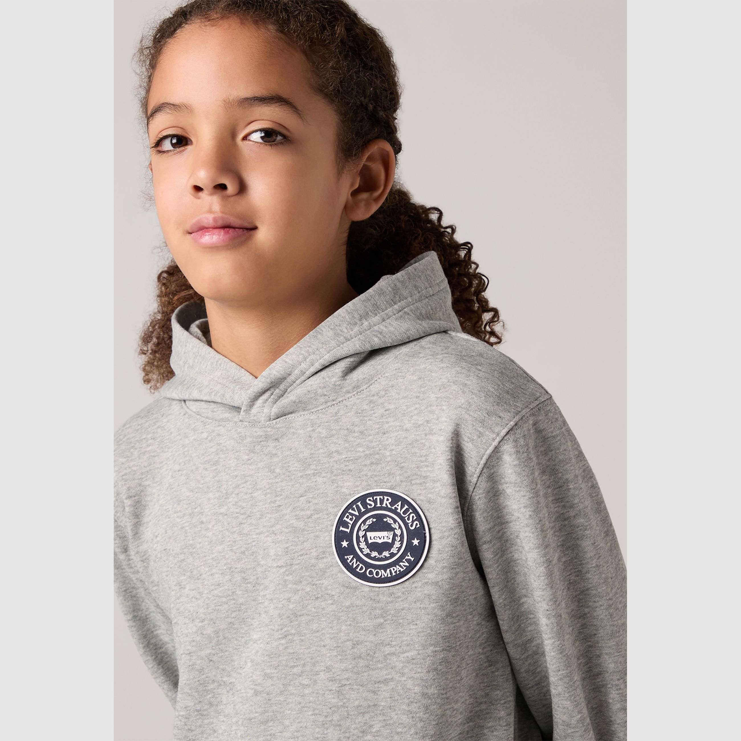 Teenager Modern Crest Pullover Hoodie 3