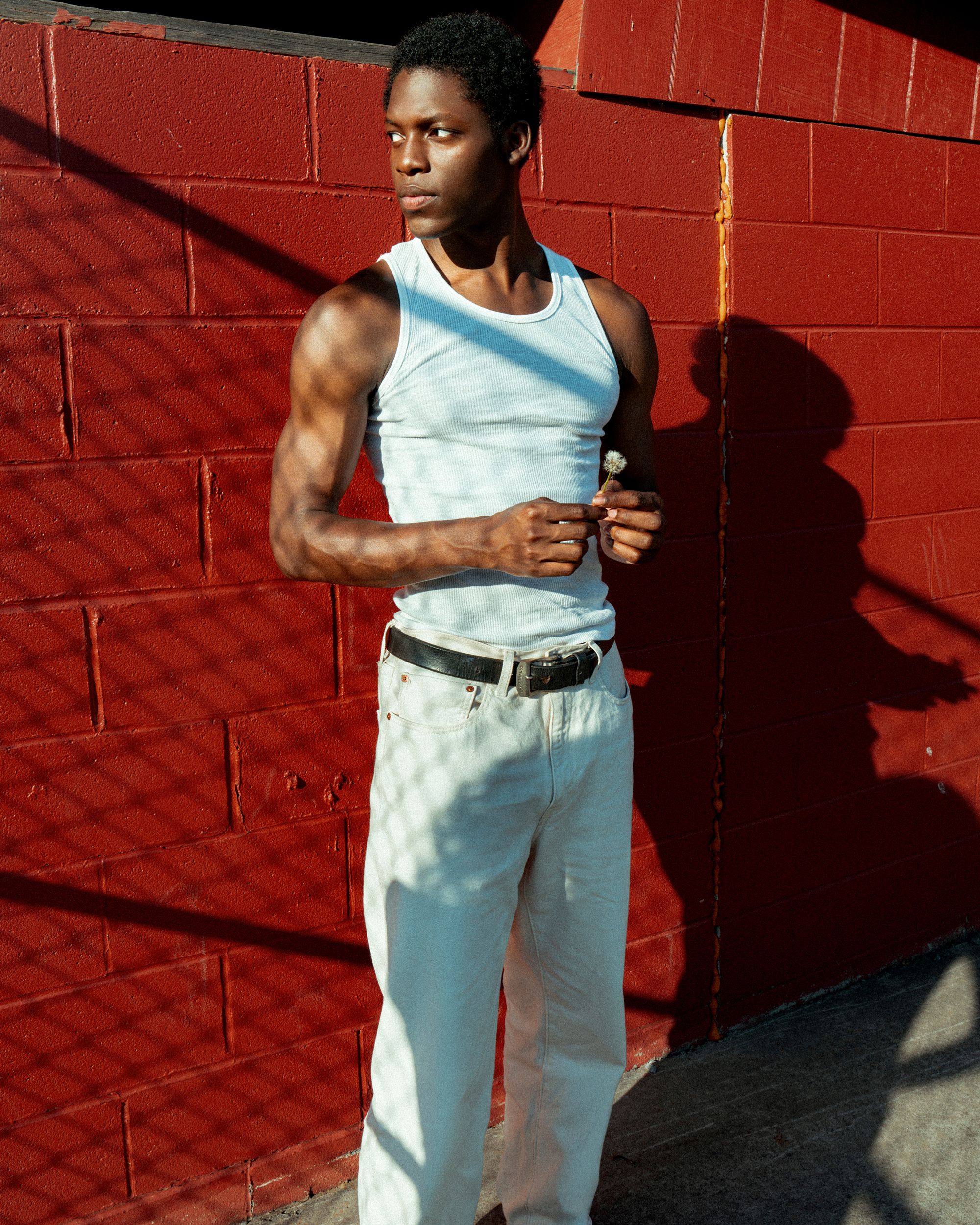 WHITE DENIM