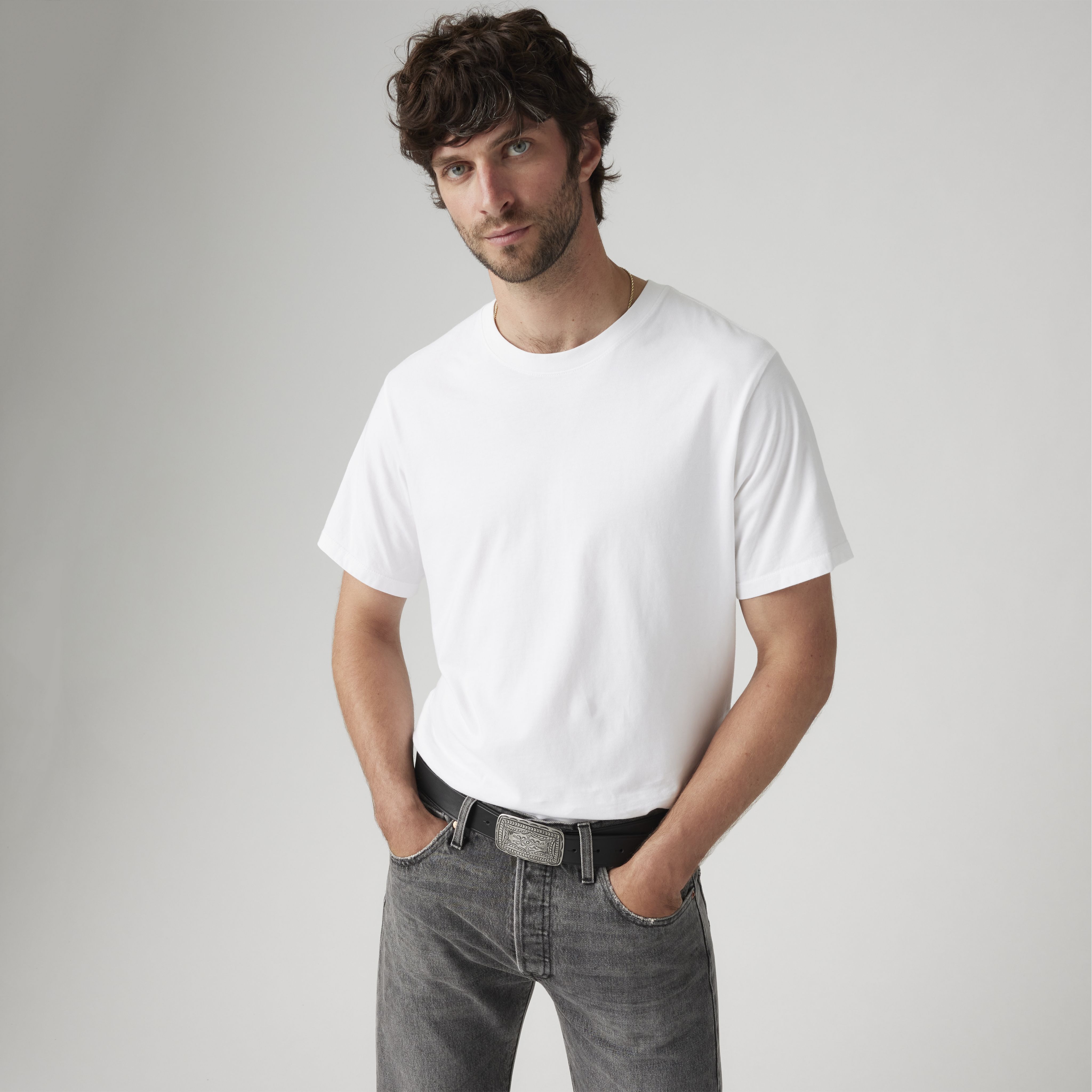 Western Plaque Belt 13