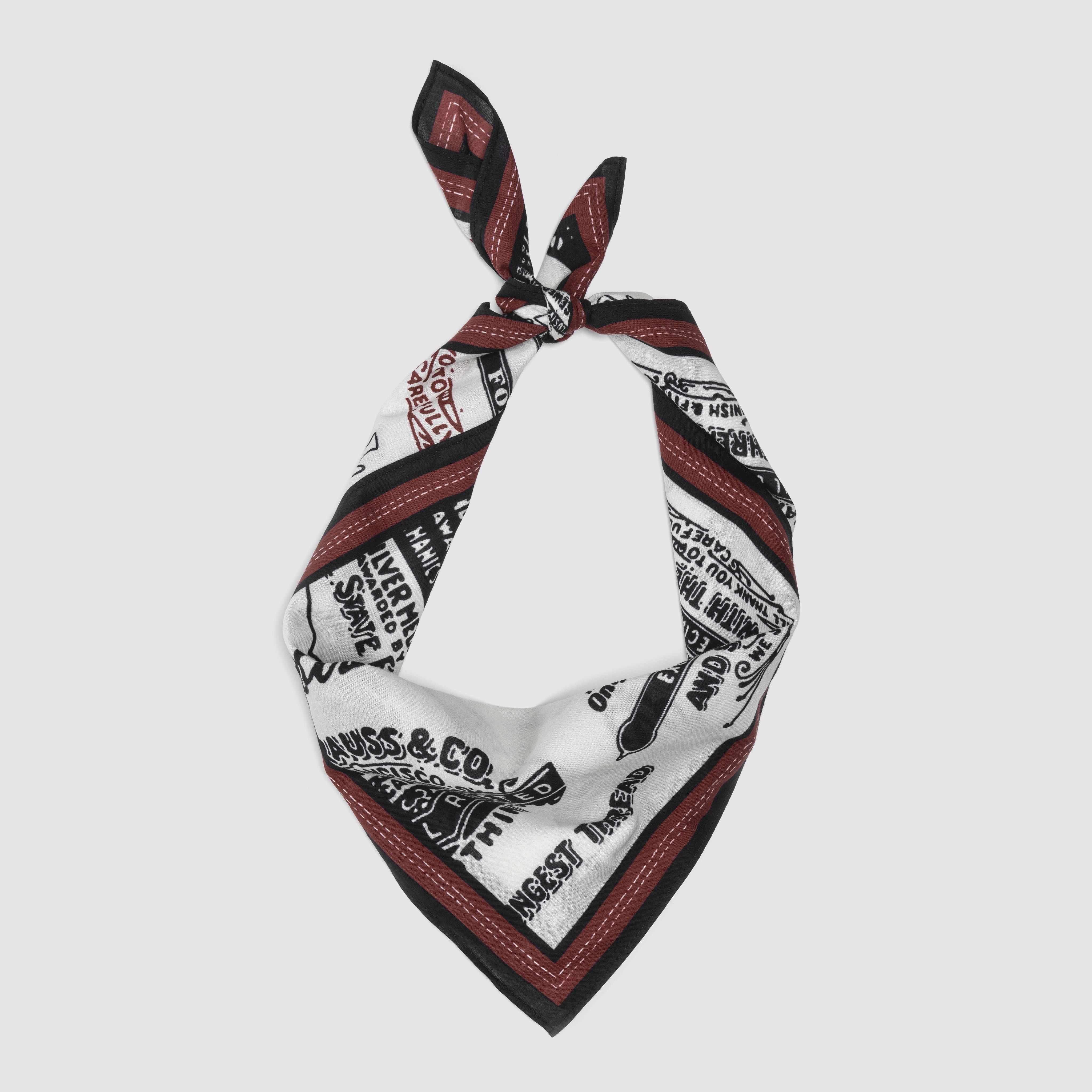 Dollar Bandana 1