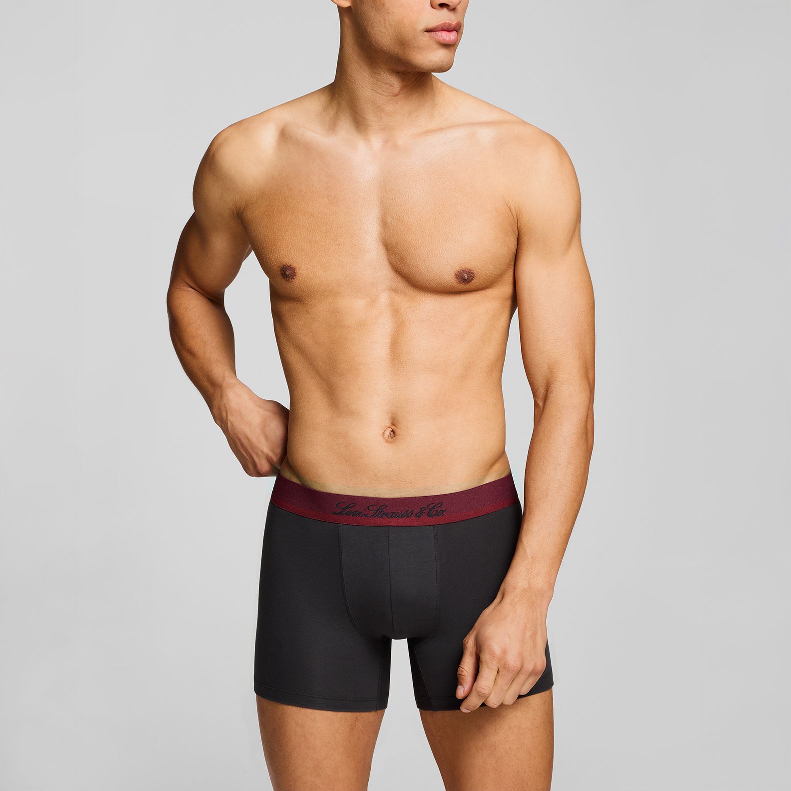Levi's® Western Icon Boxer Brief - 2 Pack 3