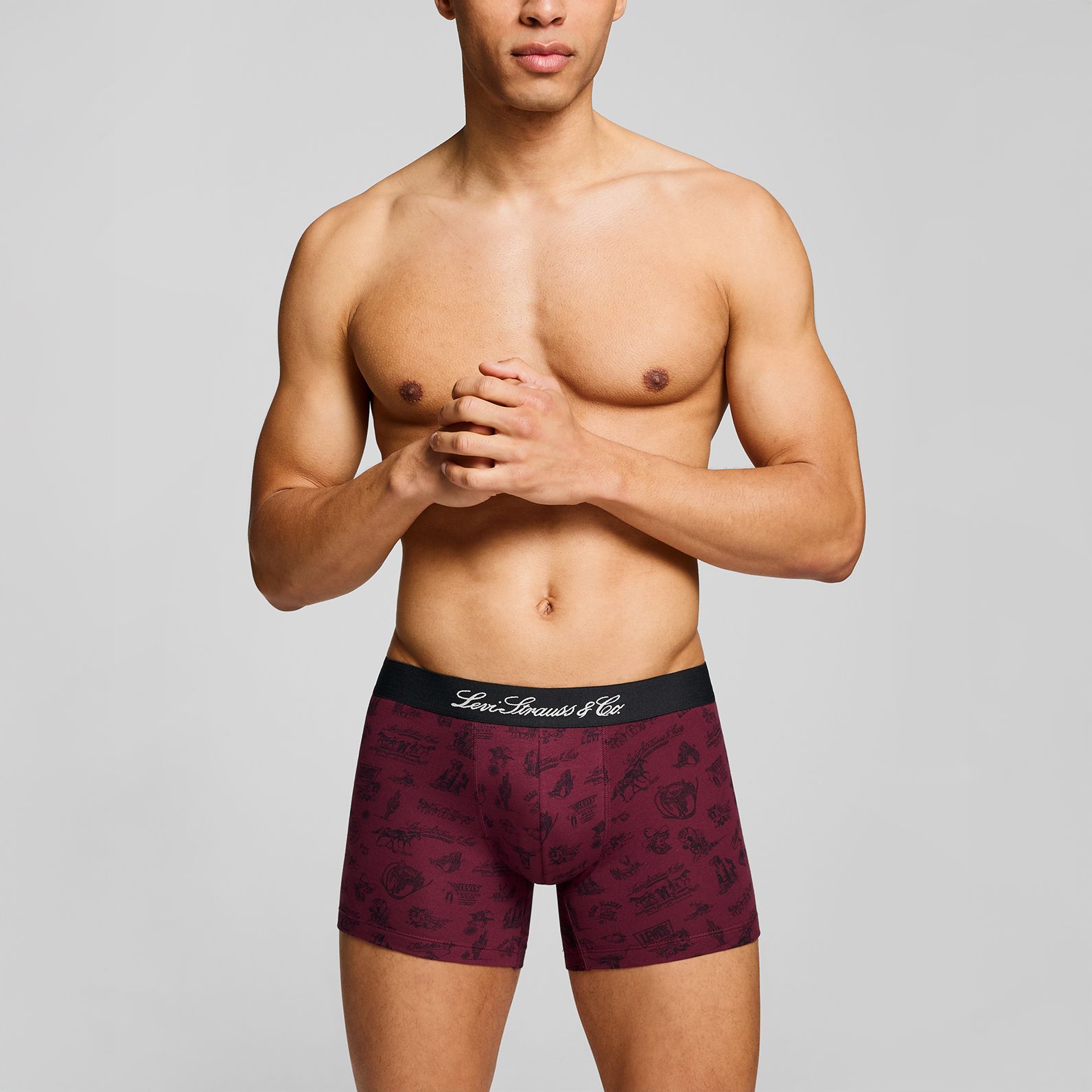 Levi's® Western Icon Boxer Brief - 2 Pack 2