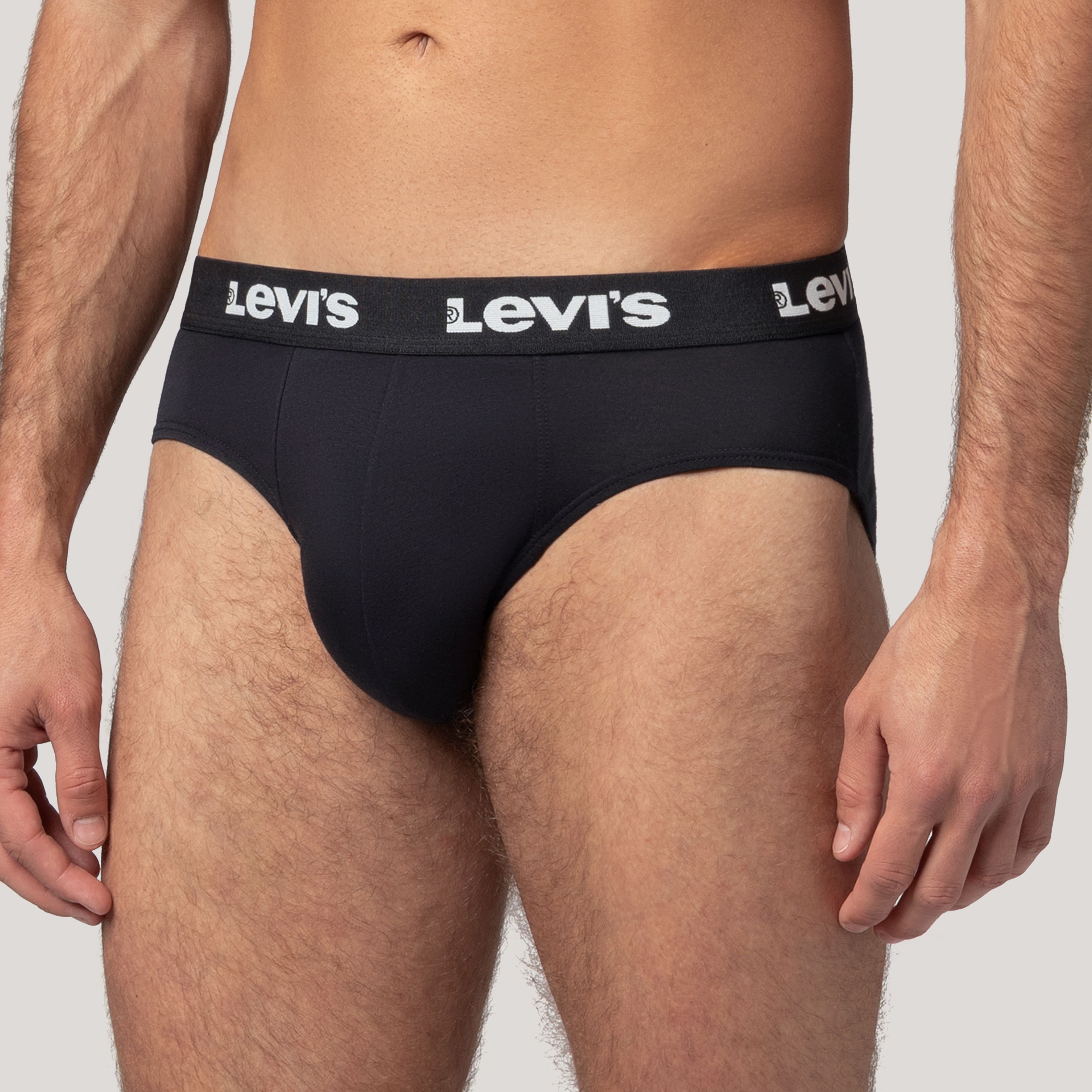 Levi's® Repeat Logo Brief - 2 pack 10