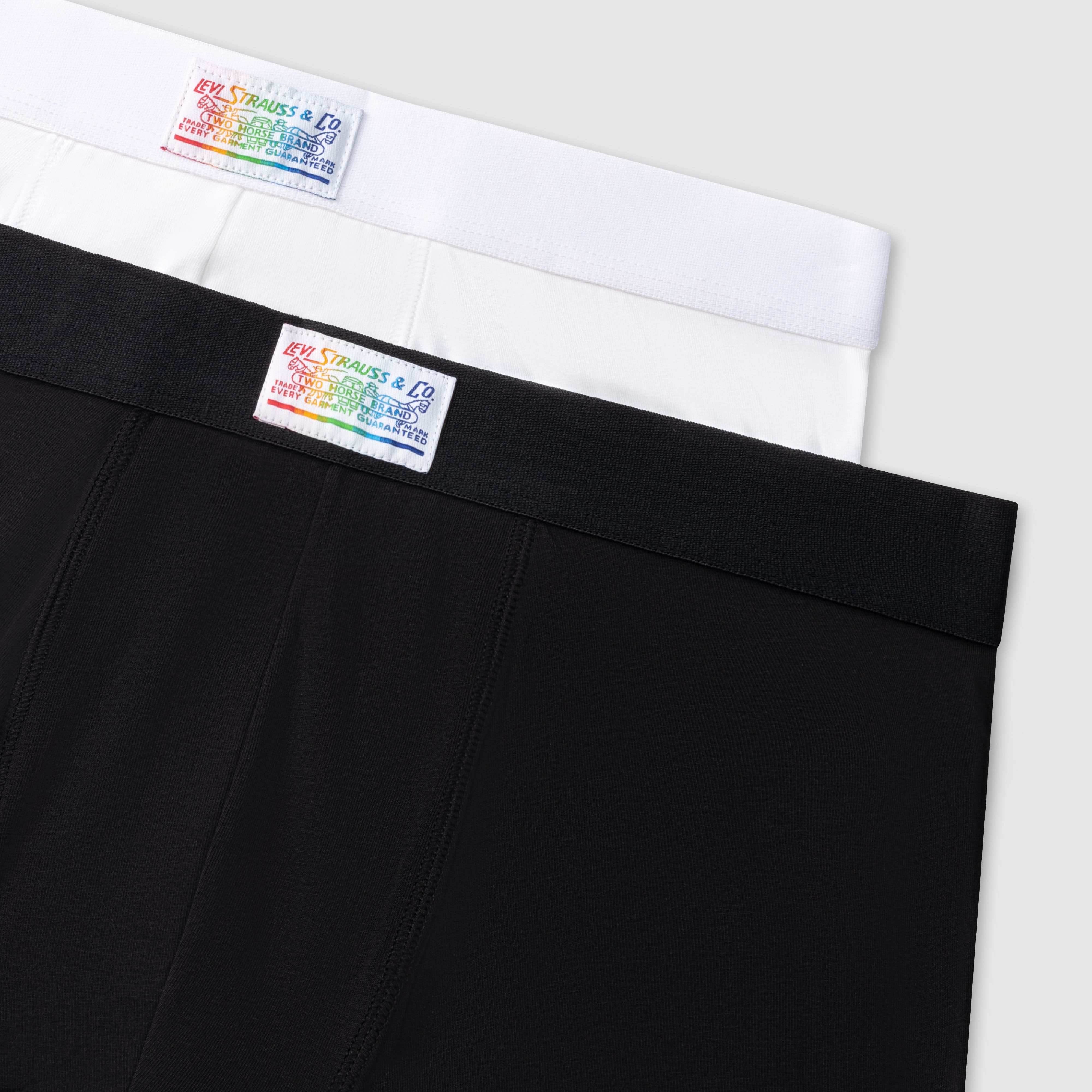 Levi's® Pride Boxer Brief - 2 pack 5