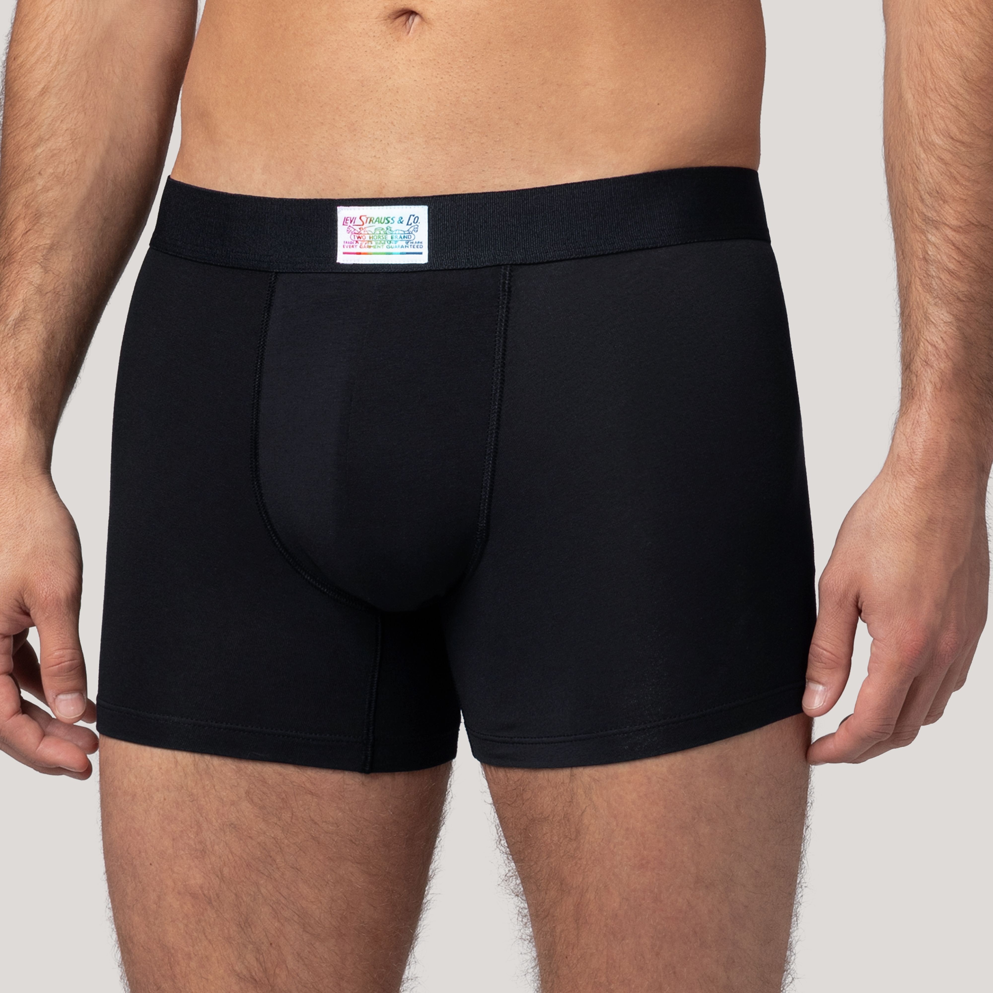 Levi's® Pride Boxer Brief - 2 pack 3