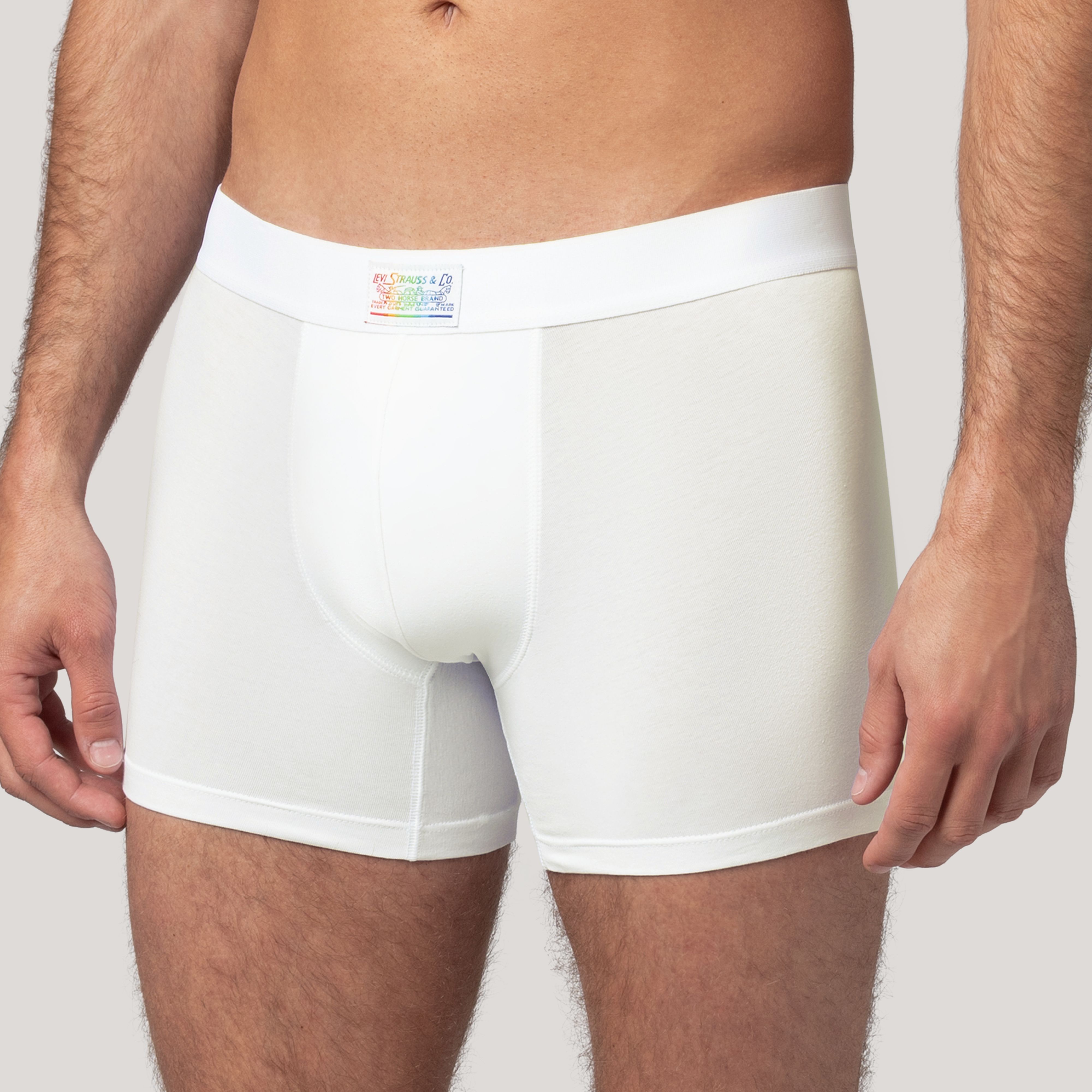 Levi's® Pride Boxer Brief - 2 pack 13