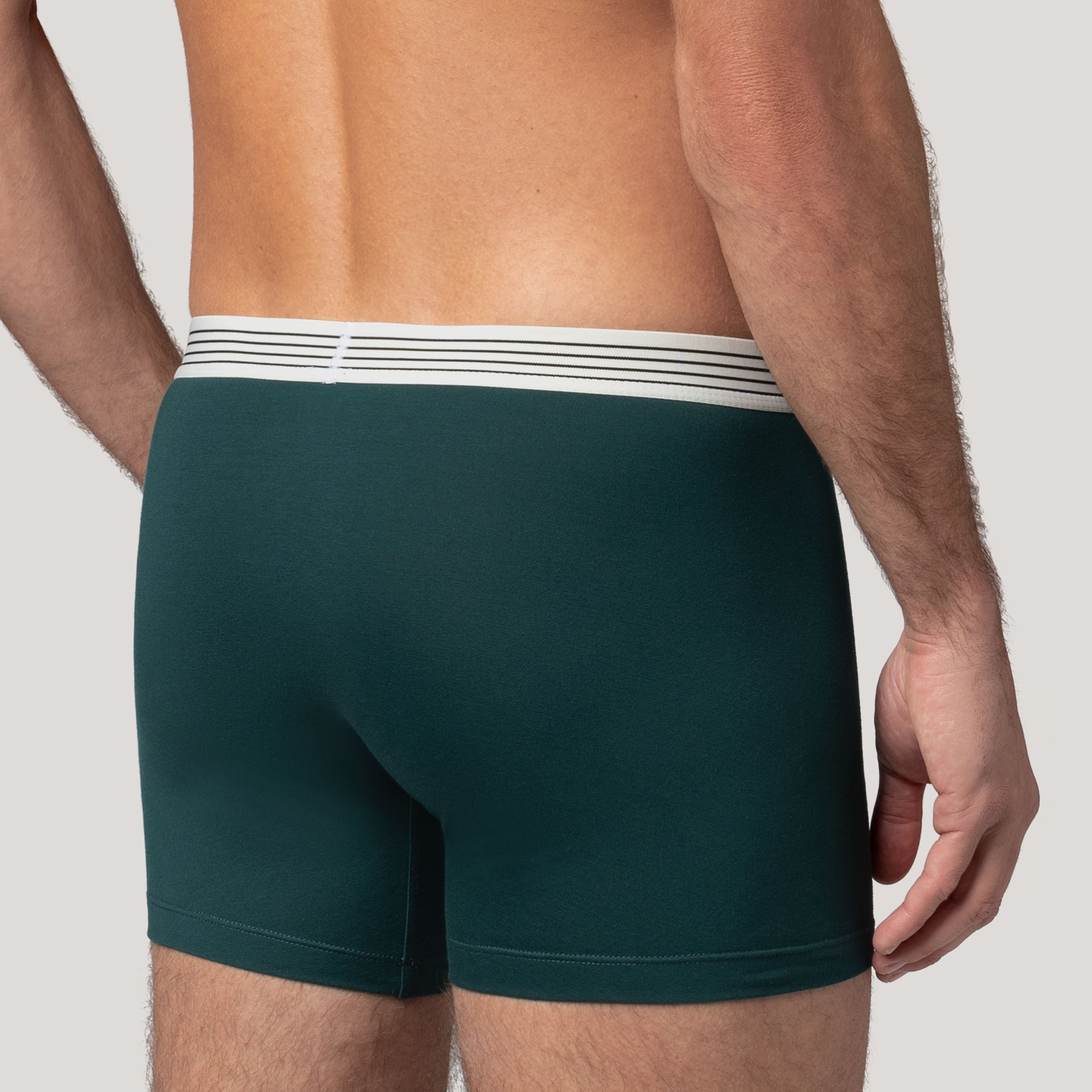 Levi's® Patch Boxer Brief - 2 Pack 4