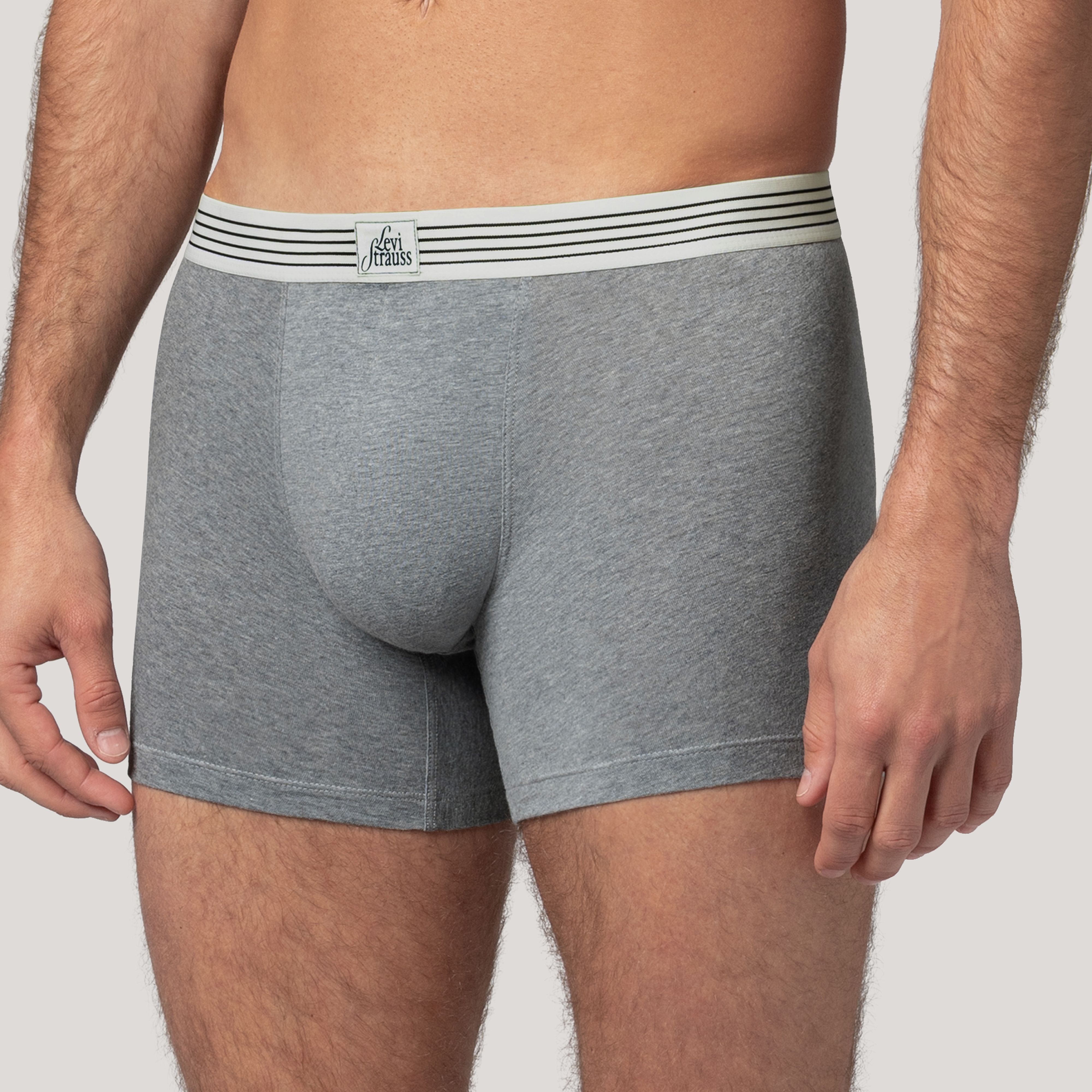 Levi's® Patch Boxer Brief - 2 Pack 3