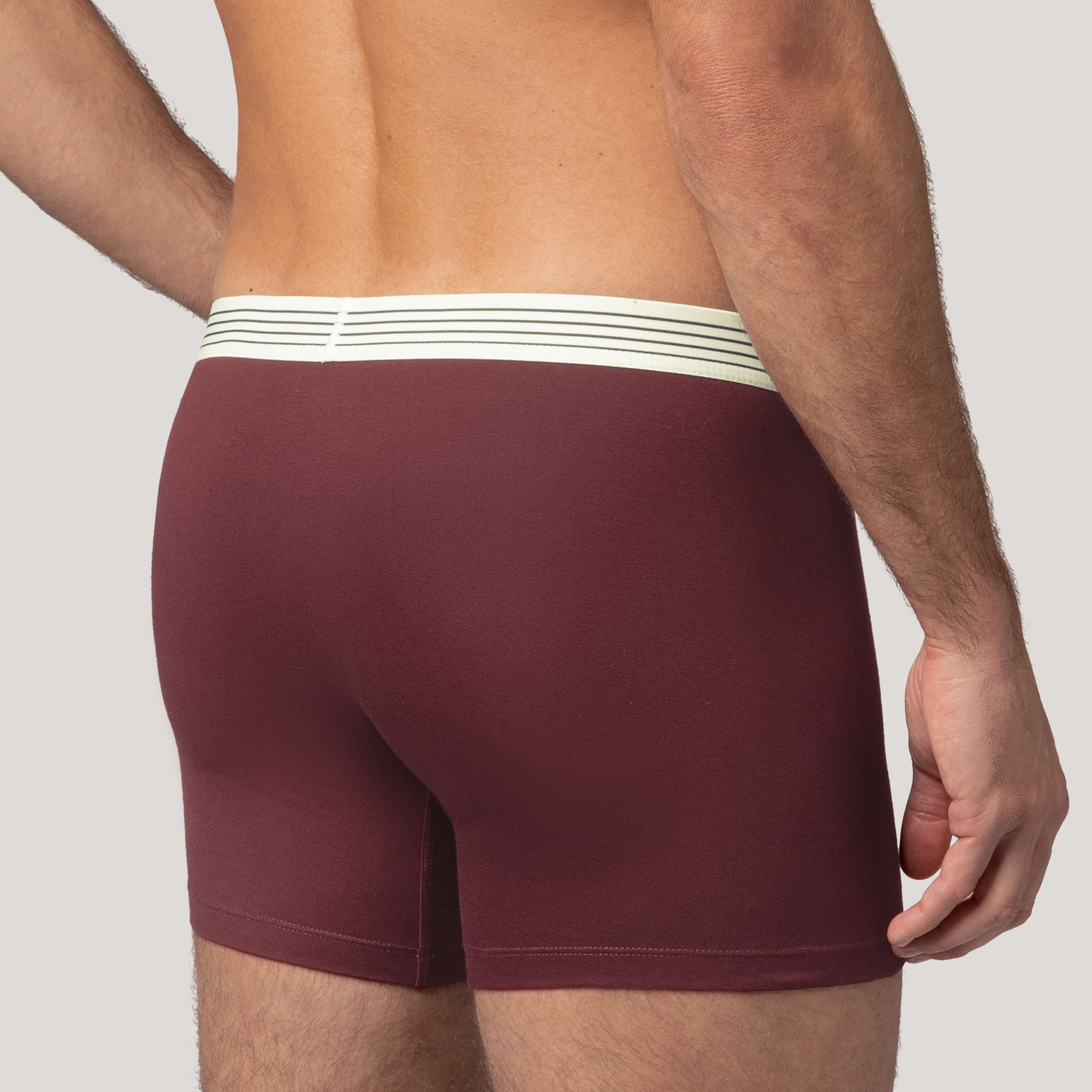Levi's® Patch Boxer Brief - 2 Pack 4