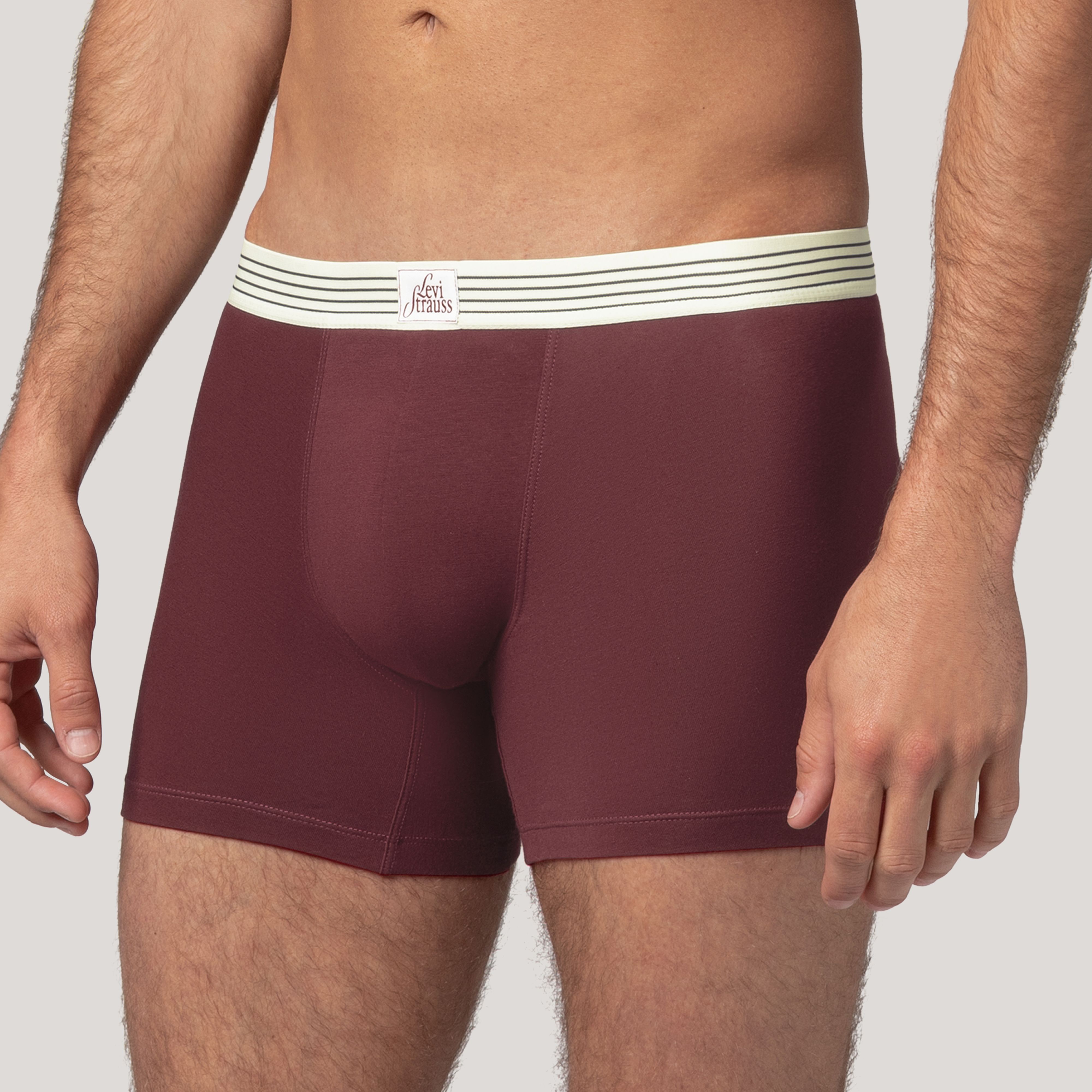 Levi's® Patch Boxer Brief - 2 Pack 11