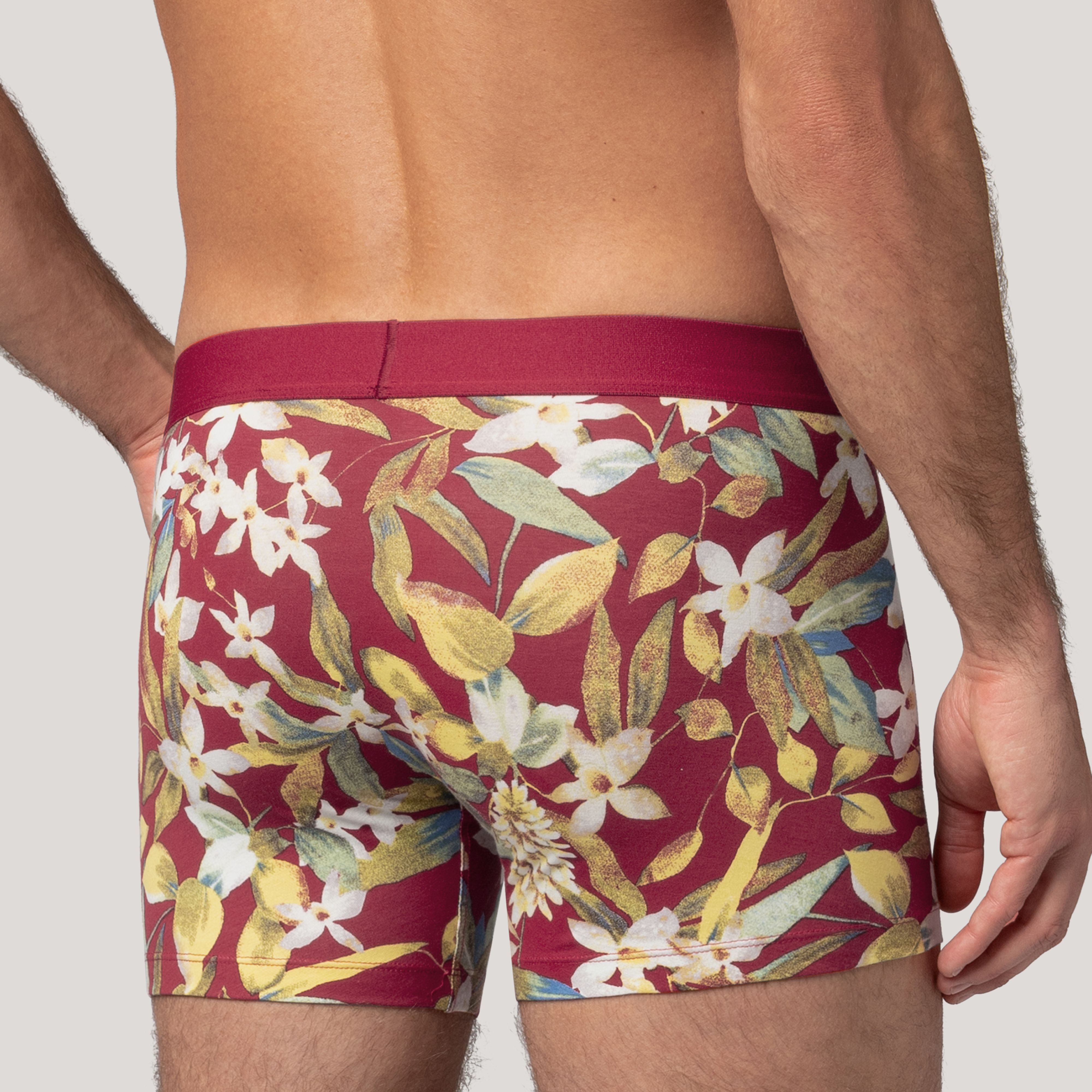 Levi's® Dallas Boxer Brief - 2 Pack 4
