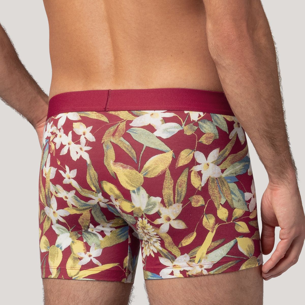 Levi's® Dallas Boxer Brief - 2 Pack — Red/Navy - Multi Colour
