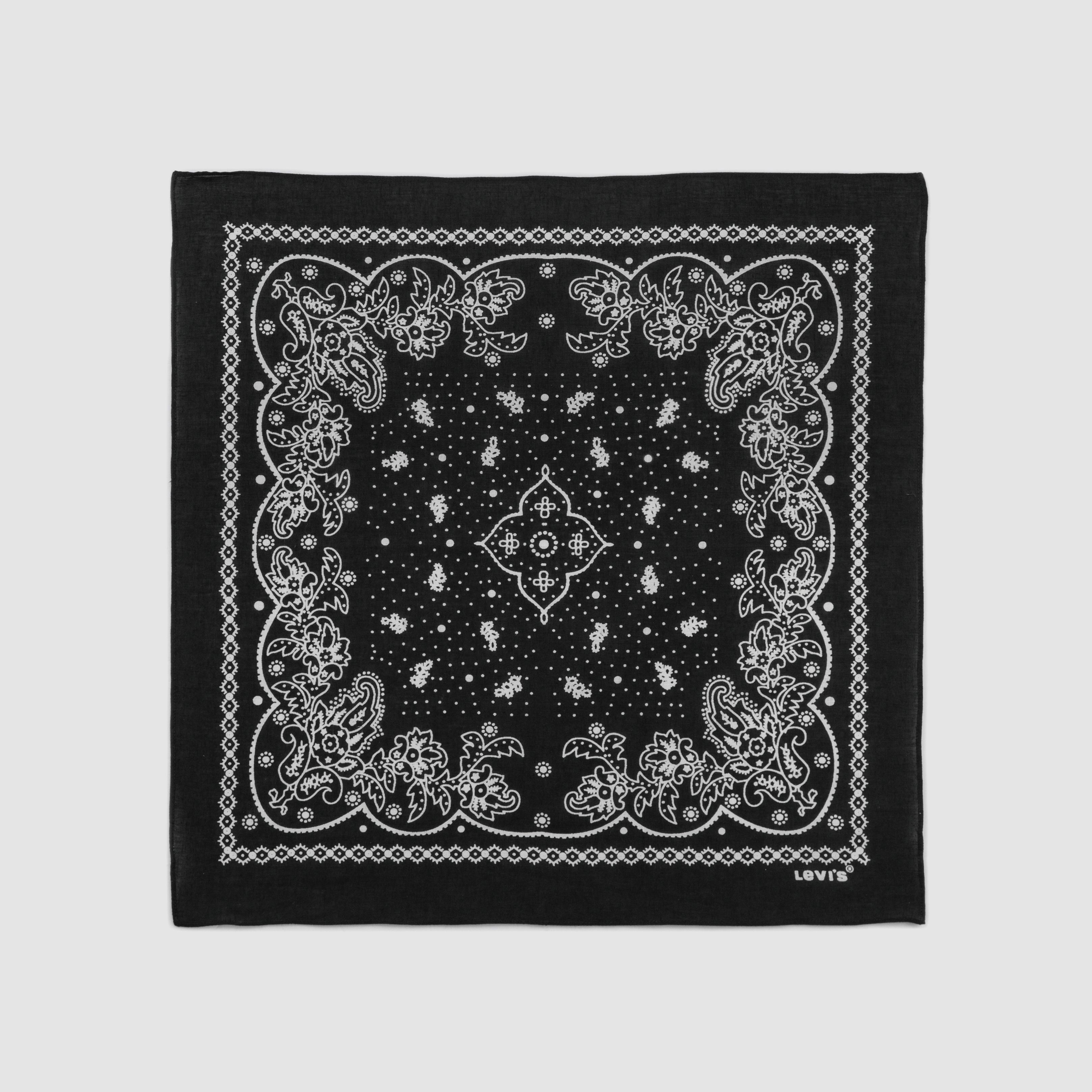 Paisley Bandana 2