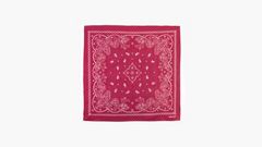 Paisley Bandana — Regular Red 3