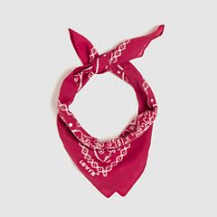 Paisley Bandana — Regular Red 2