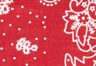Paisley Bandana