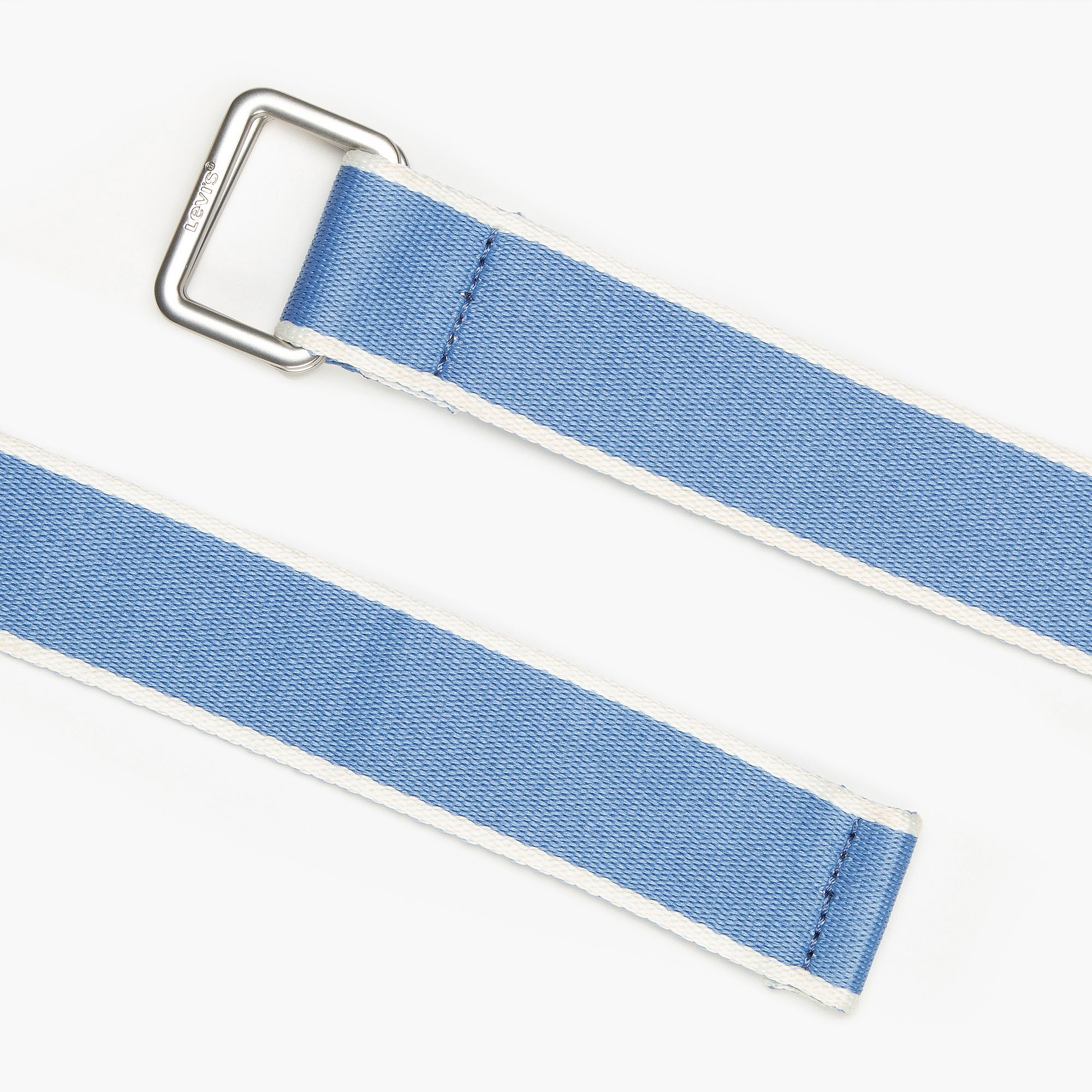 Seasonal Web Belt 2