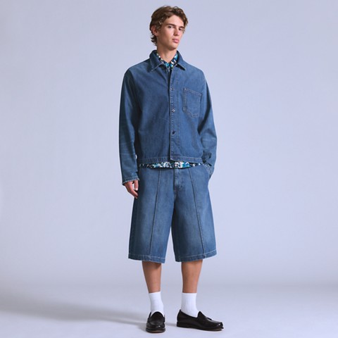 Мужские шорты Levi's Little Sur Shorts