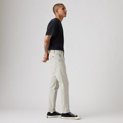XX Chino Standard Taper Garment Dye Men's Pants — Ghost Gray Shady Garment Dye - Grey 4