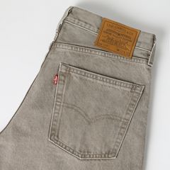 578™ Baggy Men's Jeans — Grounding Morel - Brown 7