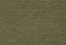 Forest Night Canvas - Green