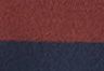 Cultivar Stripe Andorra - Multi-Color