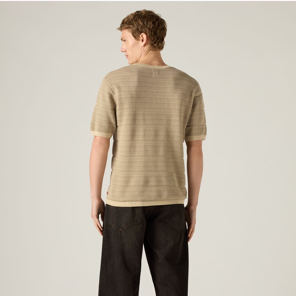 Ani Short-Sleeve Sweater — Textured Stripe Brindle and Fields Of Rye - Brown