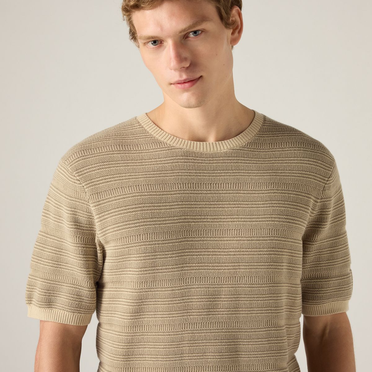 Ani Short-Sleeve Sweater — Textured Stripe Brindle and Fields Of Rye - Brown