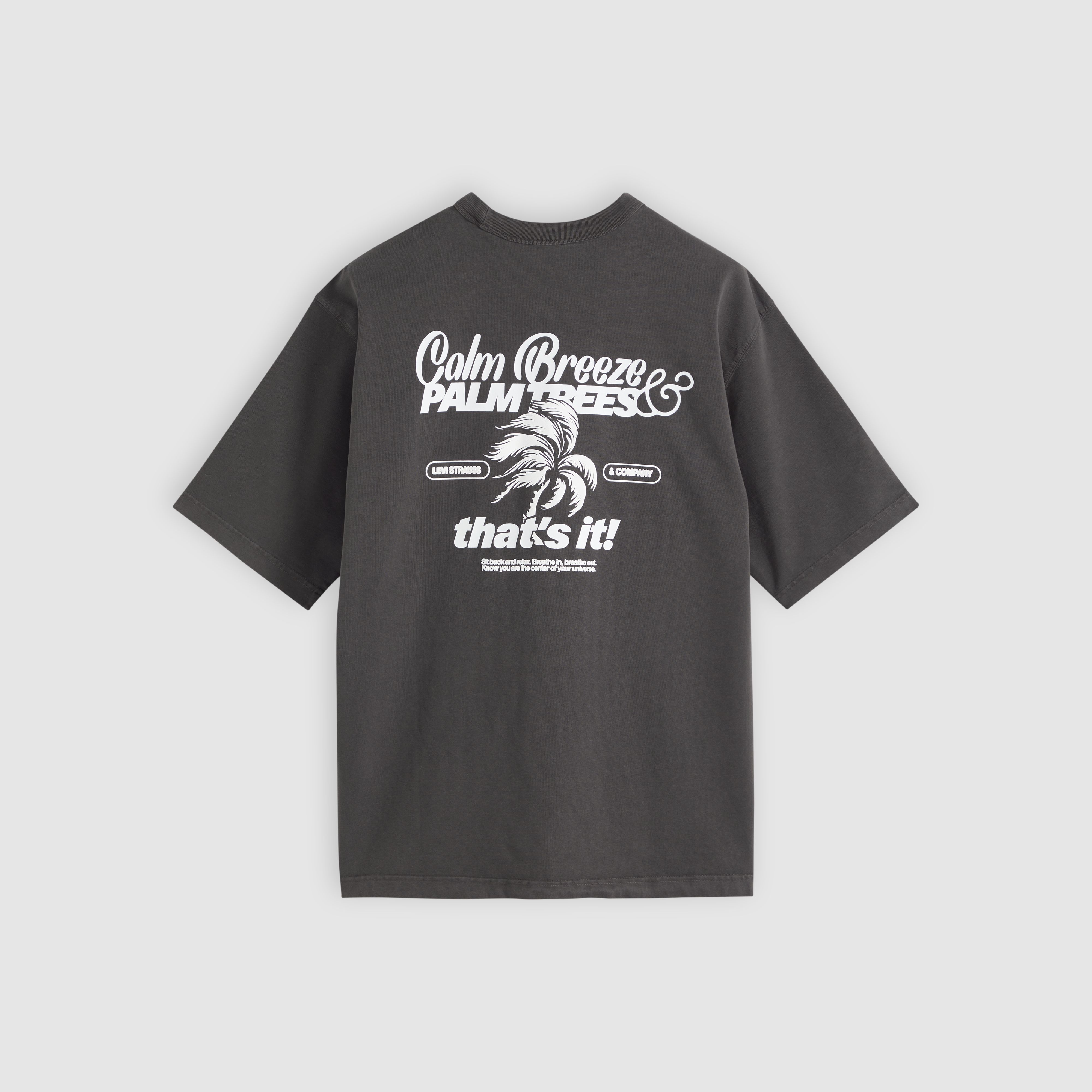 Loose Tee 6