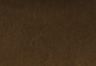 Desert Palm - Brown