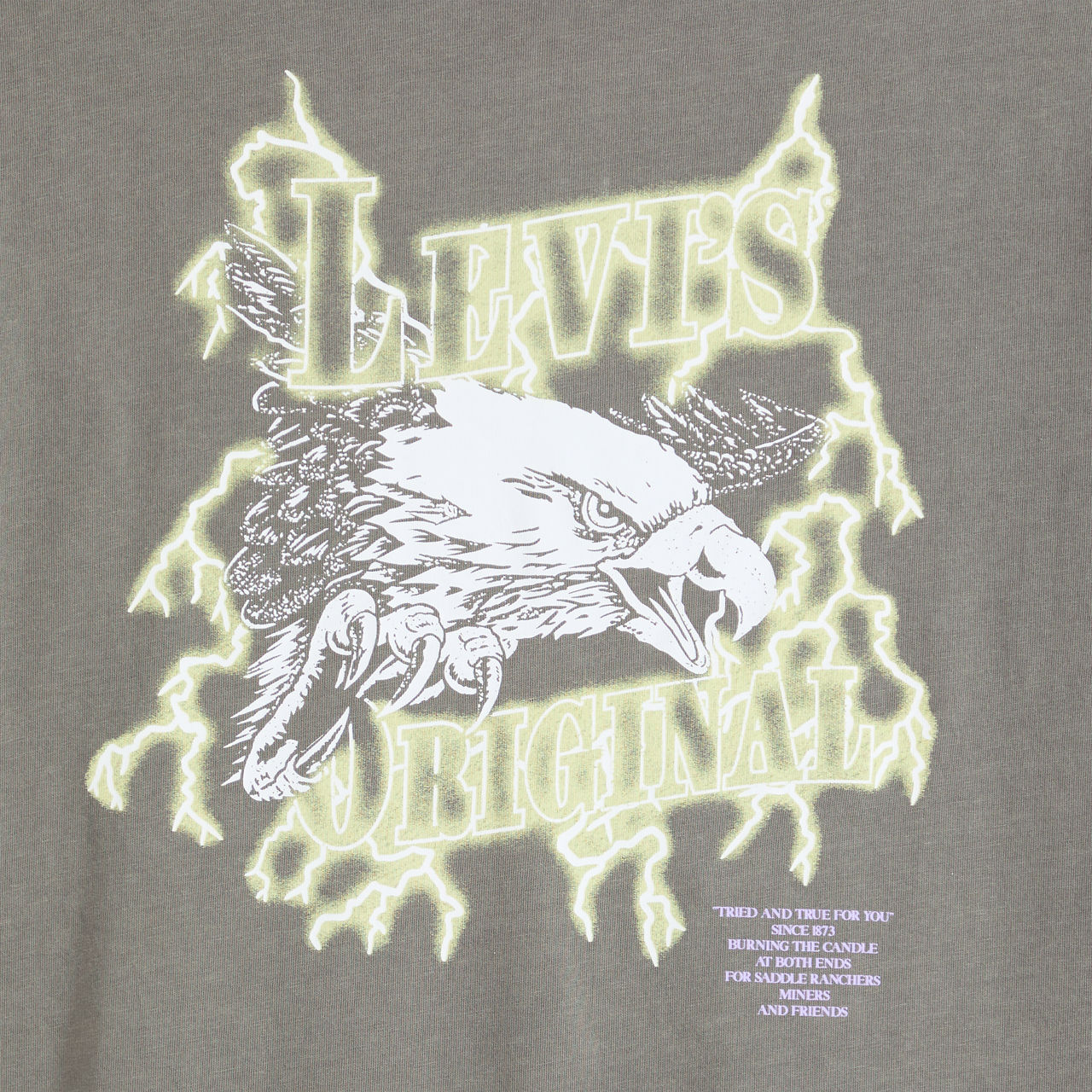 Relaxed Fit Short-Sleeve Graphic T-Shirt 6