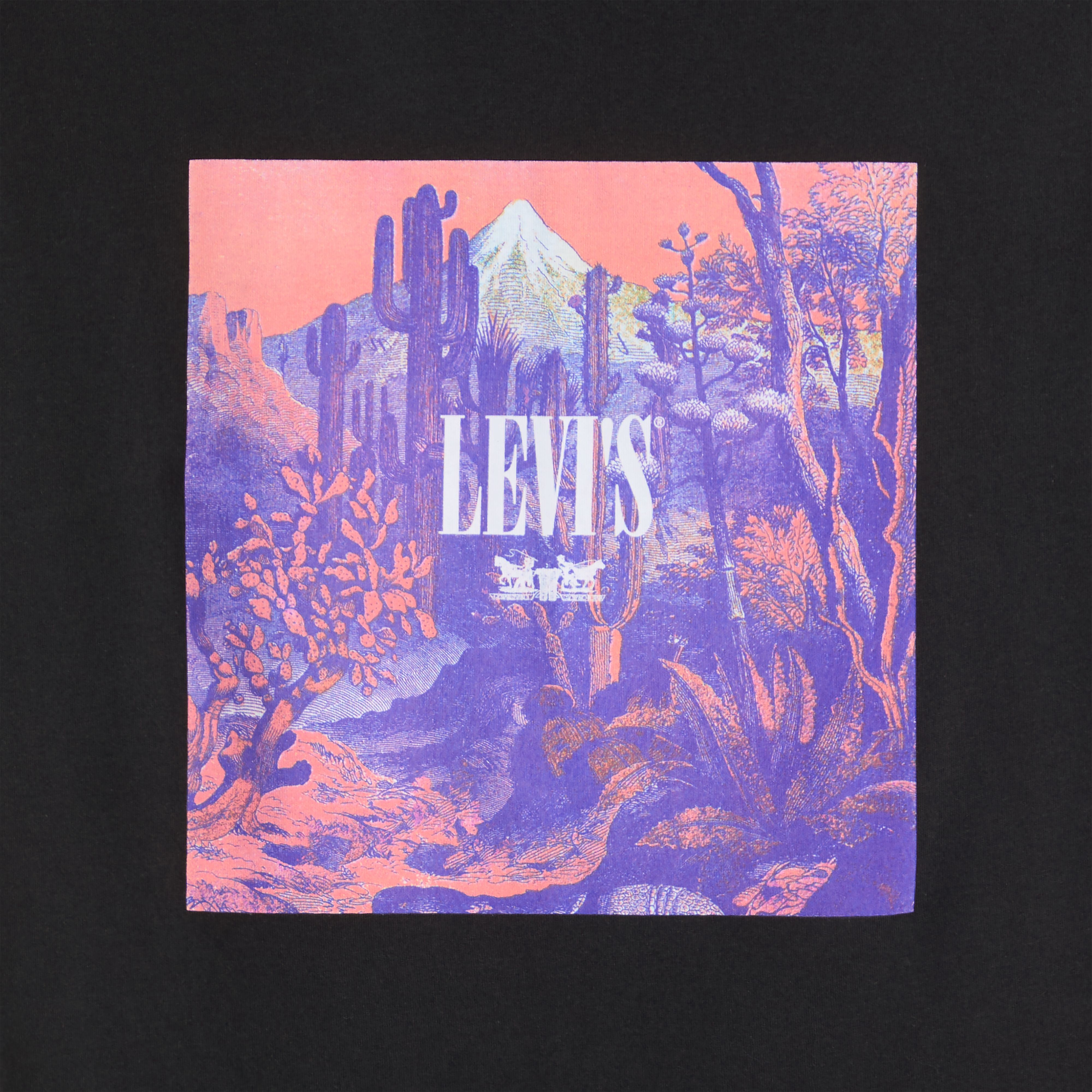 Relaxed Fit Short-Sleeve Graphic T-Shirt 6