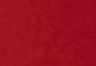 Levis Lounge Emboldened - Red