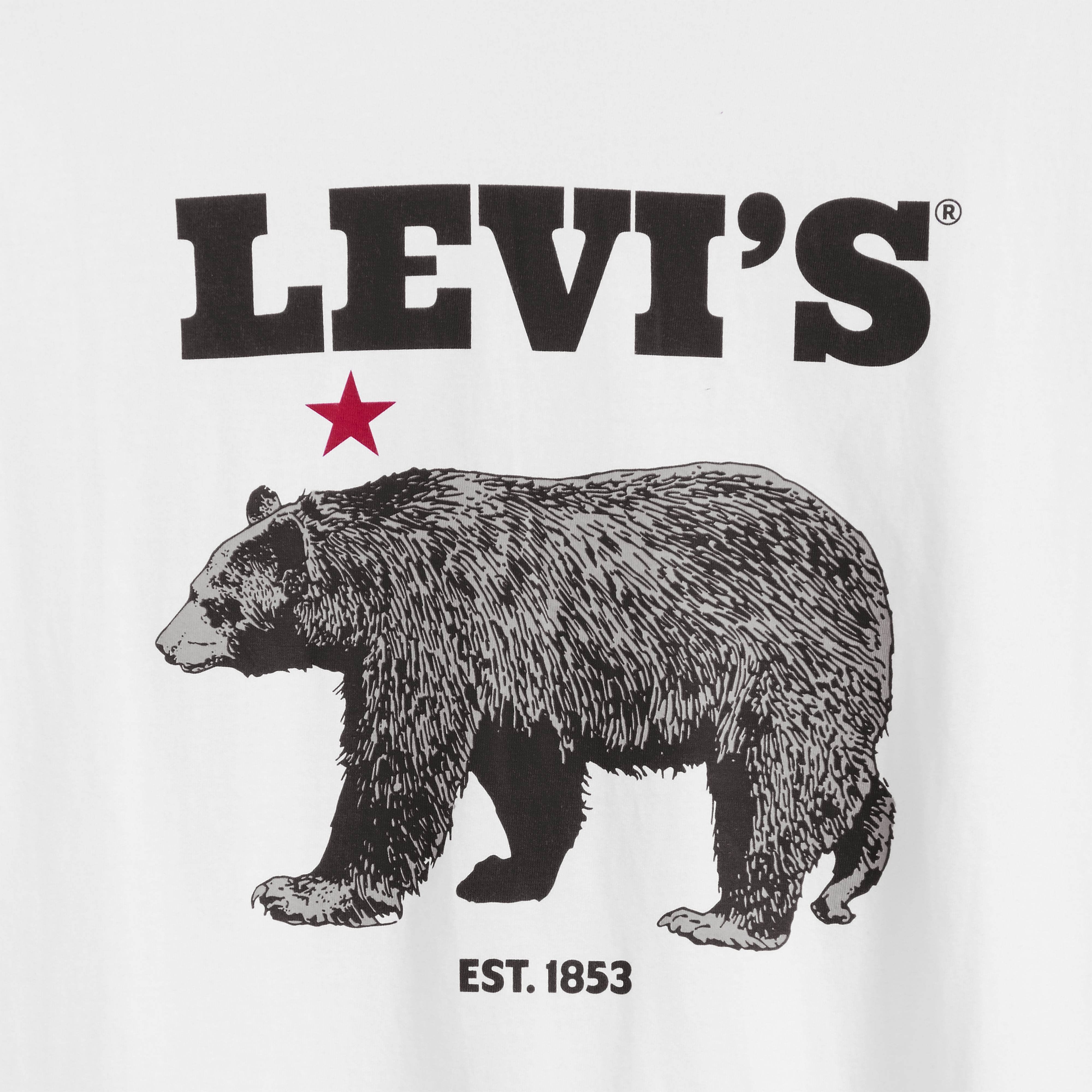 Standard Fit Classic Graphic T-Shirt 6