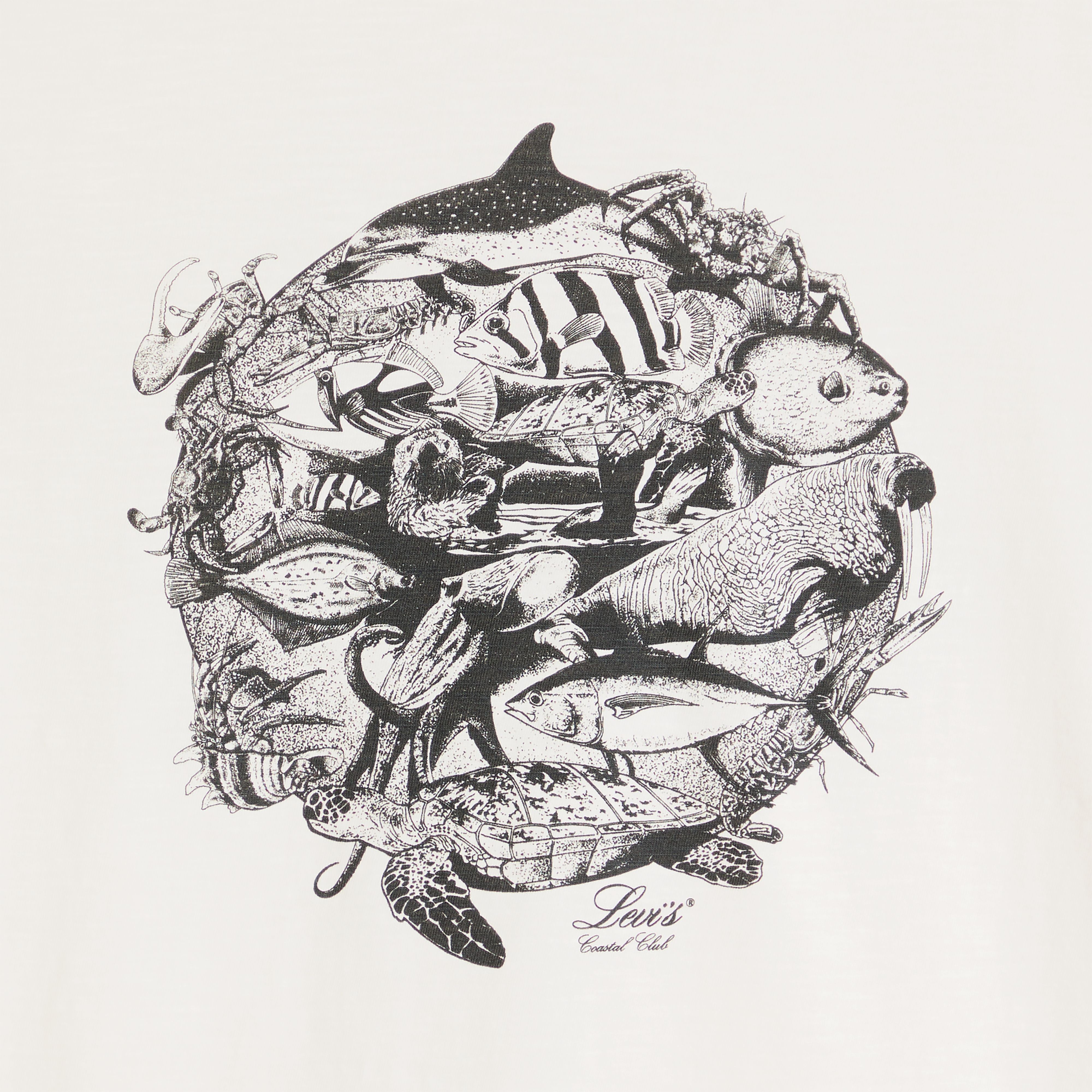 Standard Fit Classic Graphic T-Shirt 6
