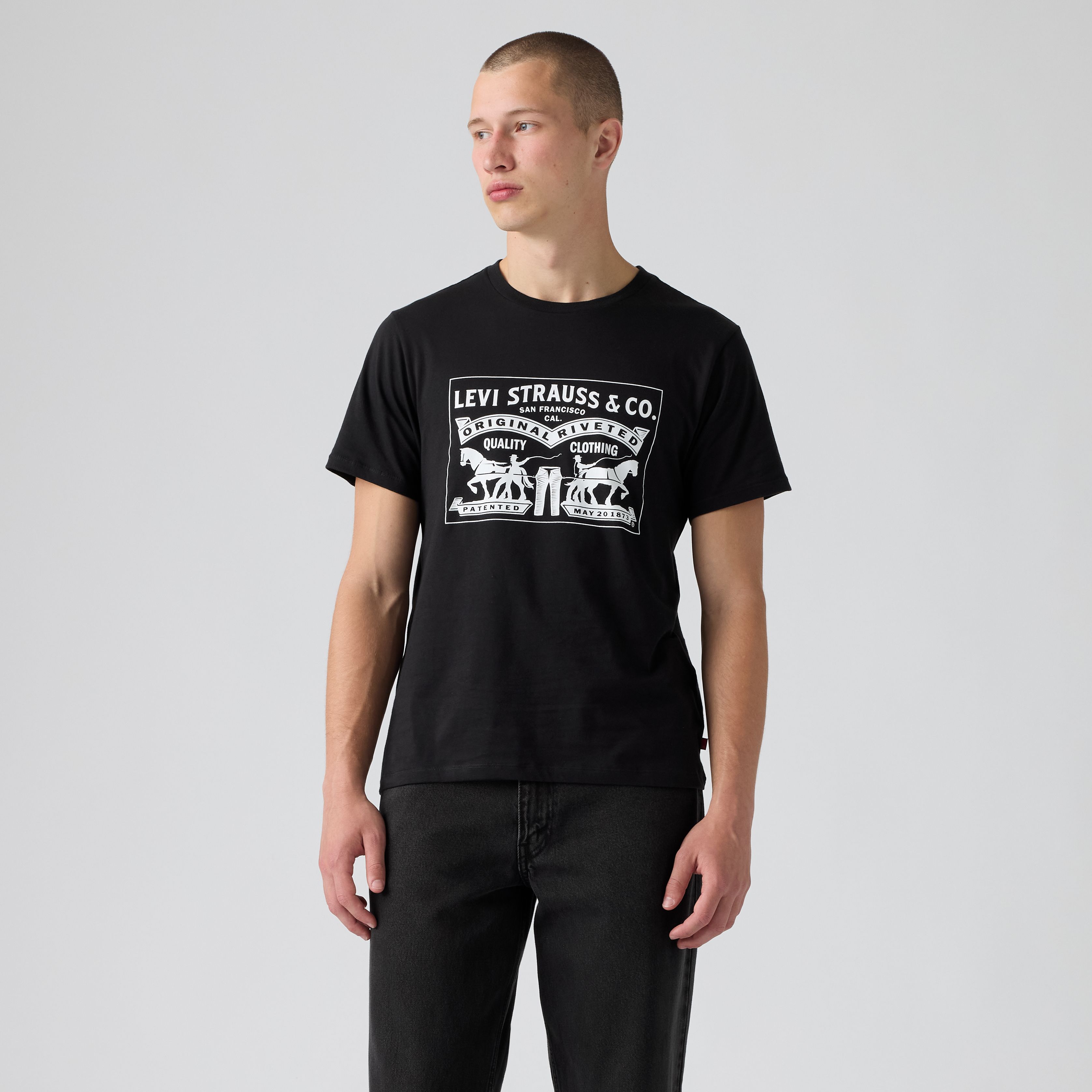 Two Horse Graphic Tee Shirt 15