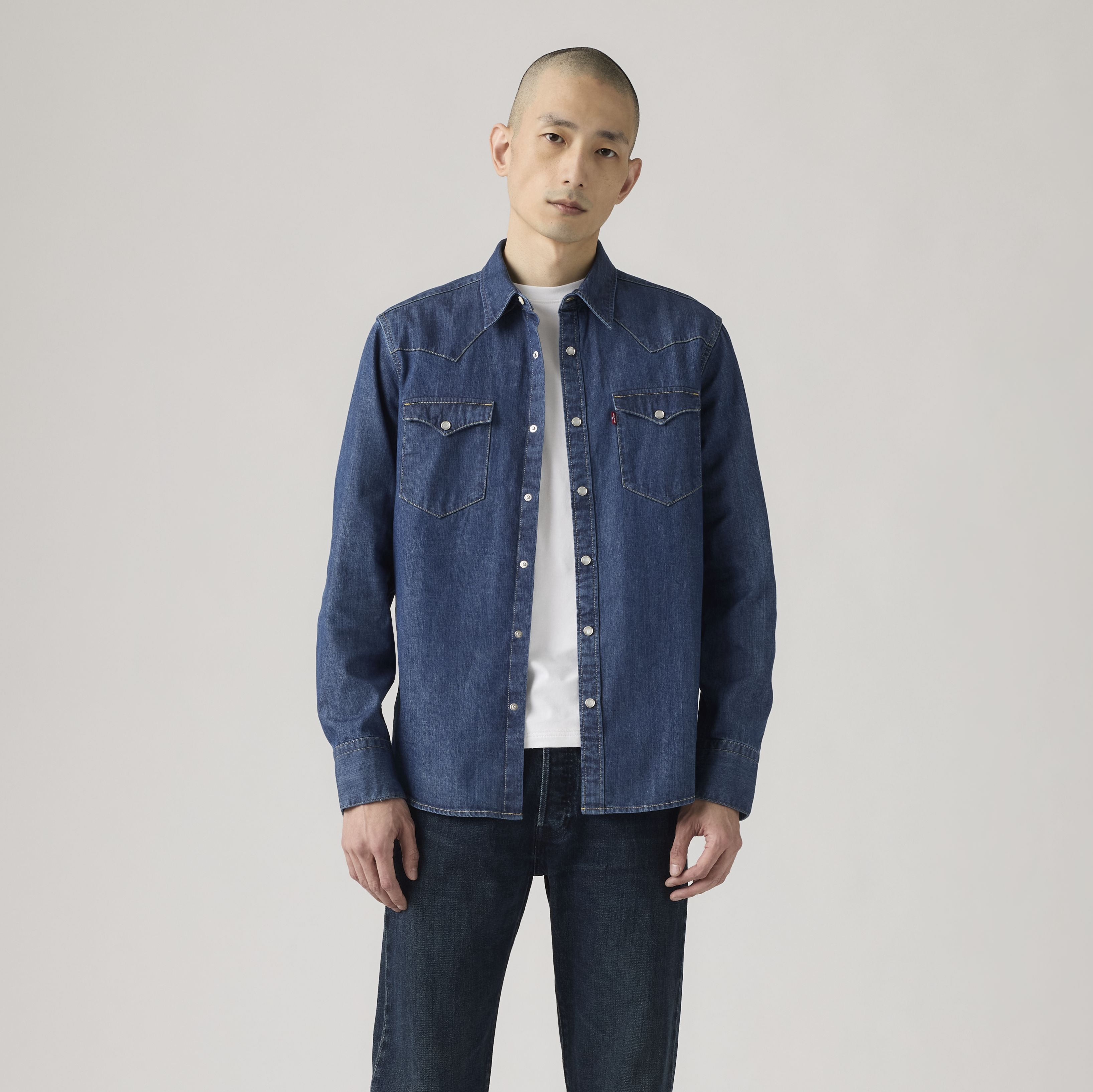 Barstow Western Standard Fit Shirt 2