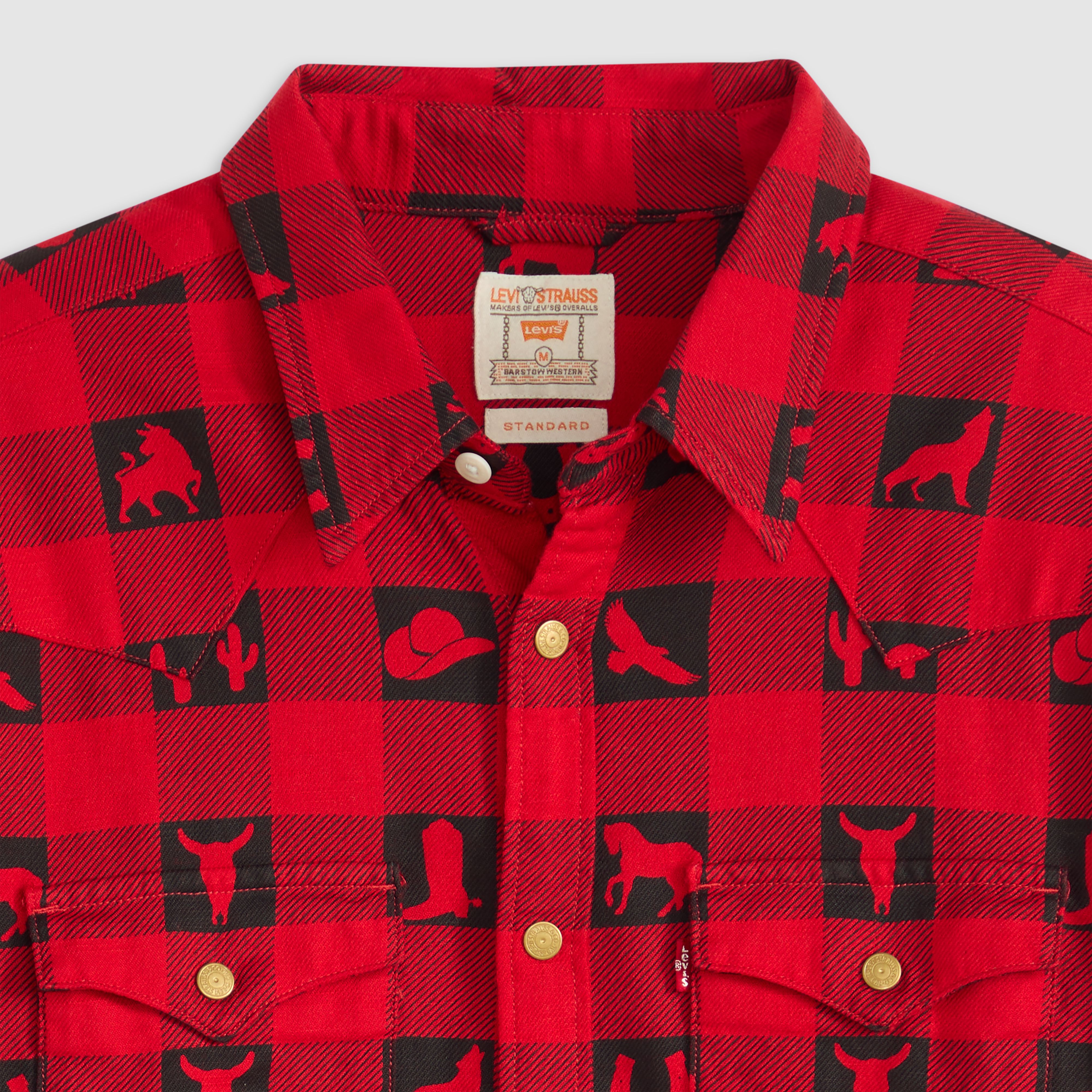 Barstow Western Shirt 6
