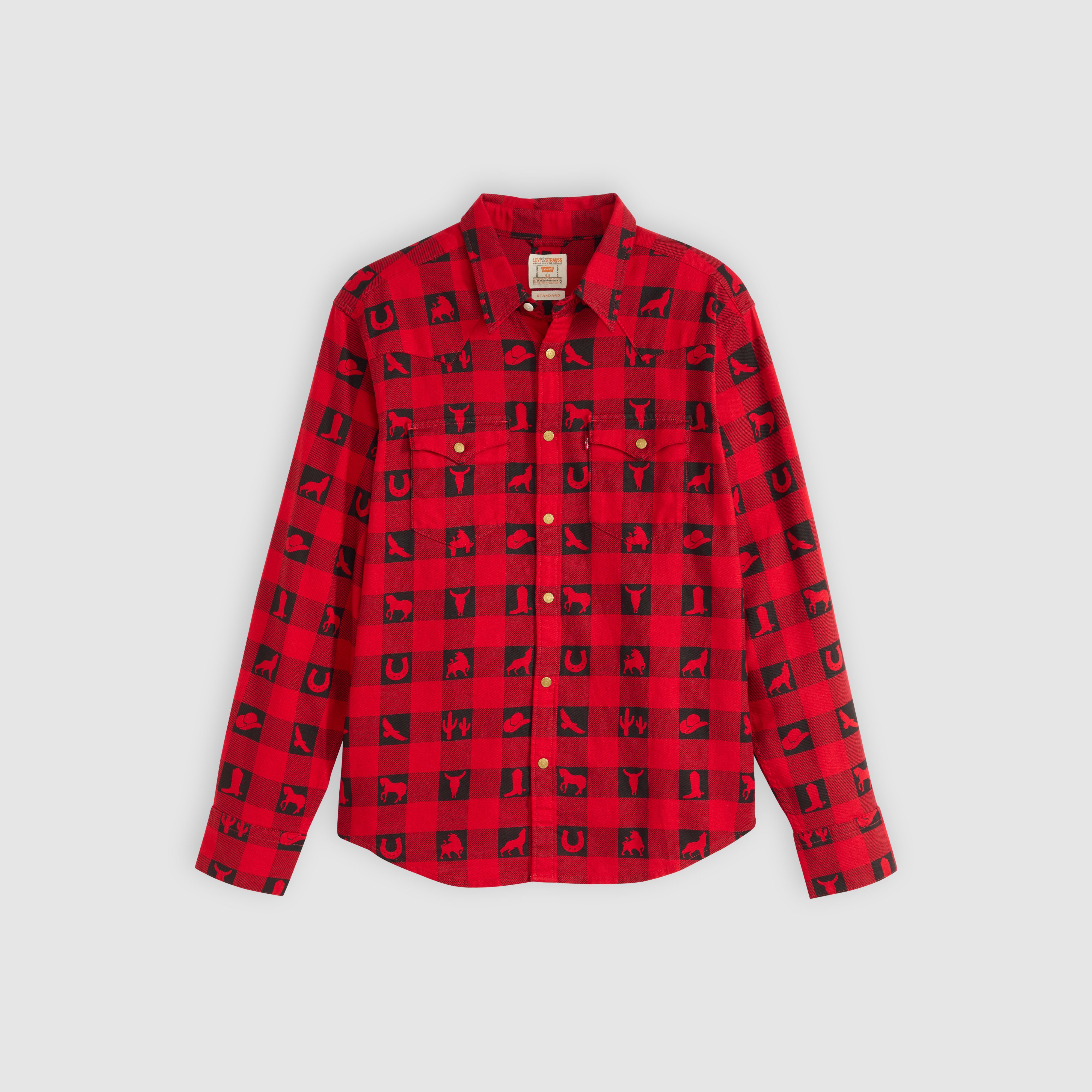 Barstow Western Shirt 5