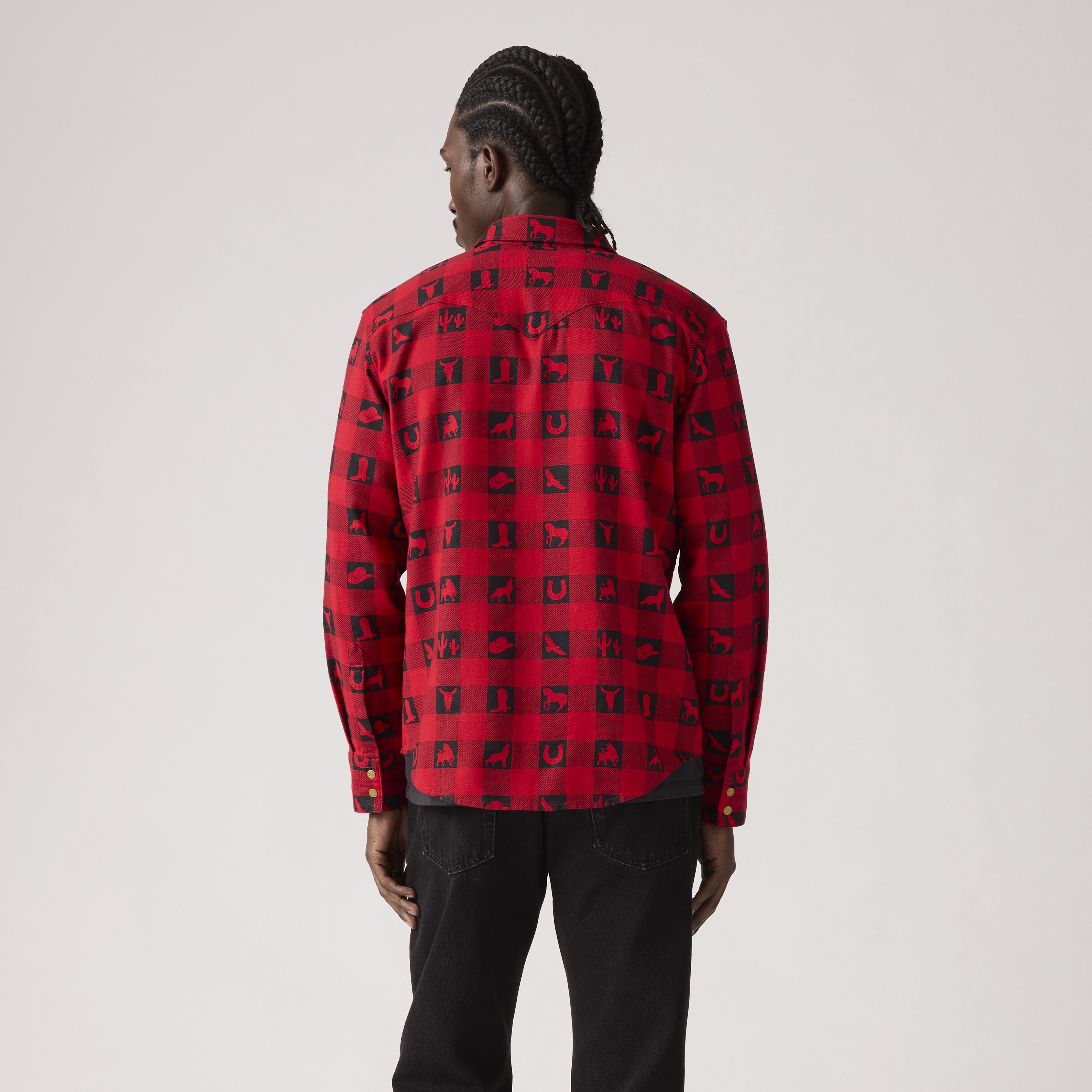 Barstow Western Shirt 3