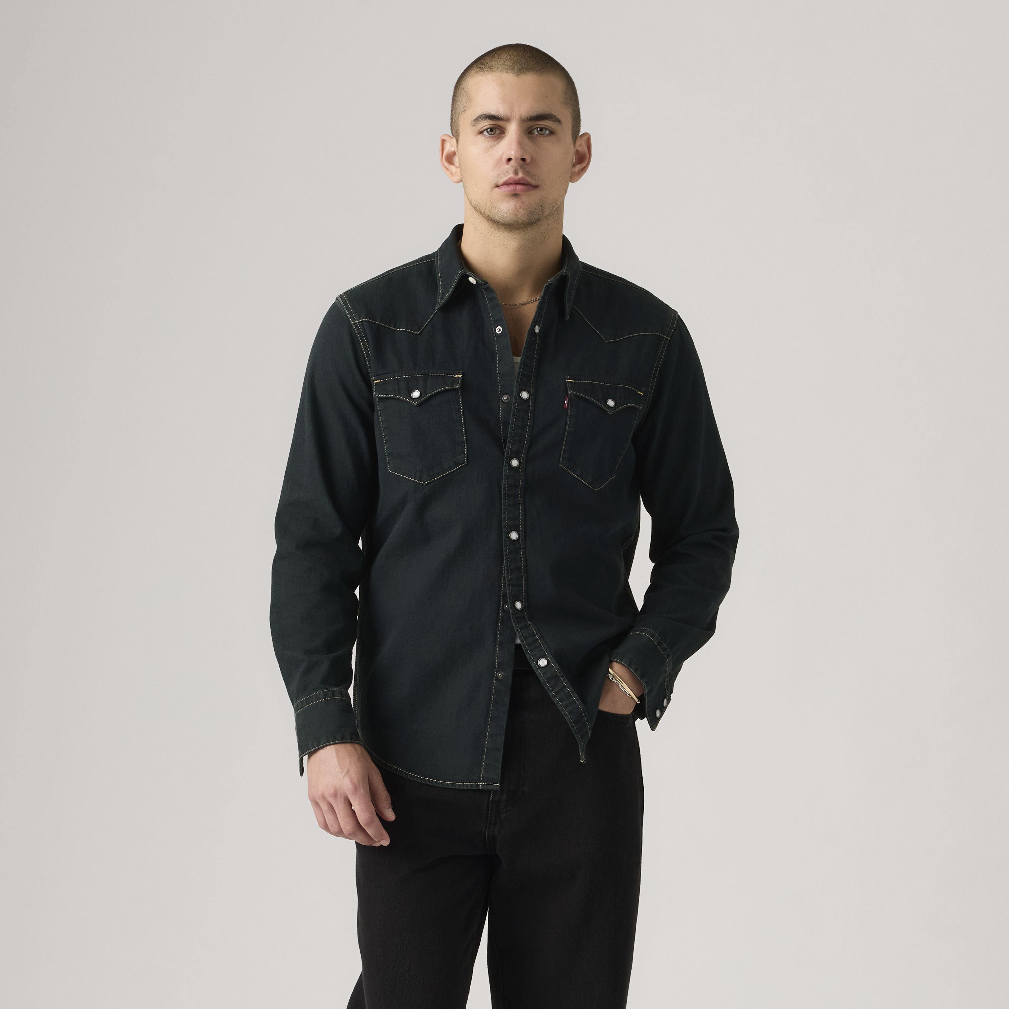 Barstow Western Standard Fit Shirt 2