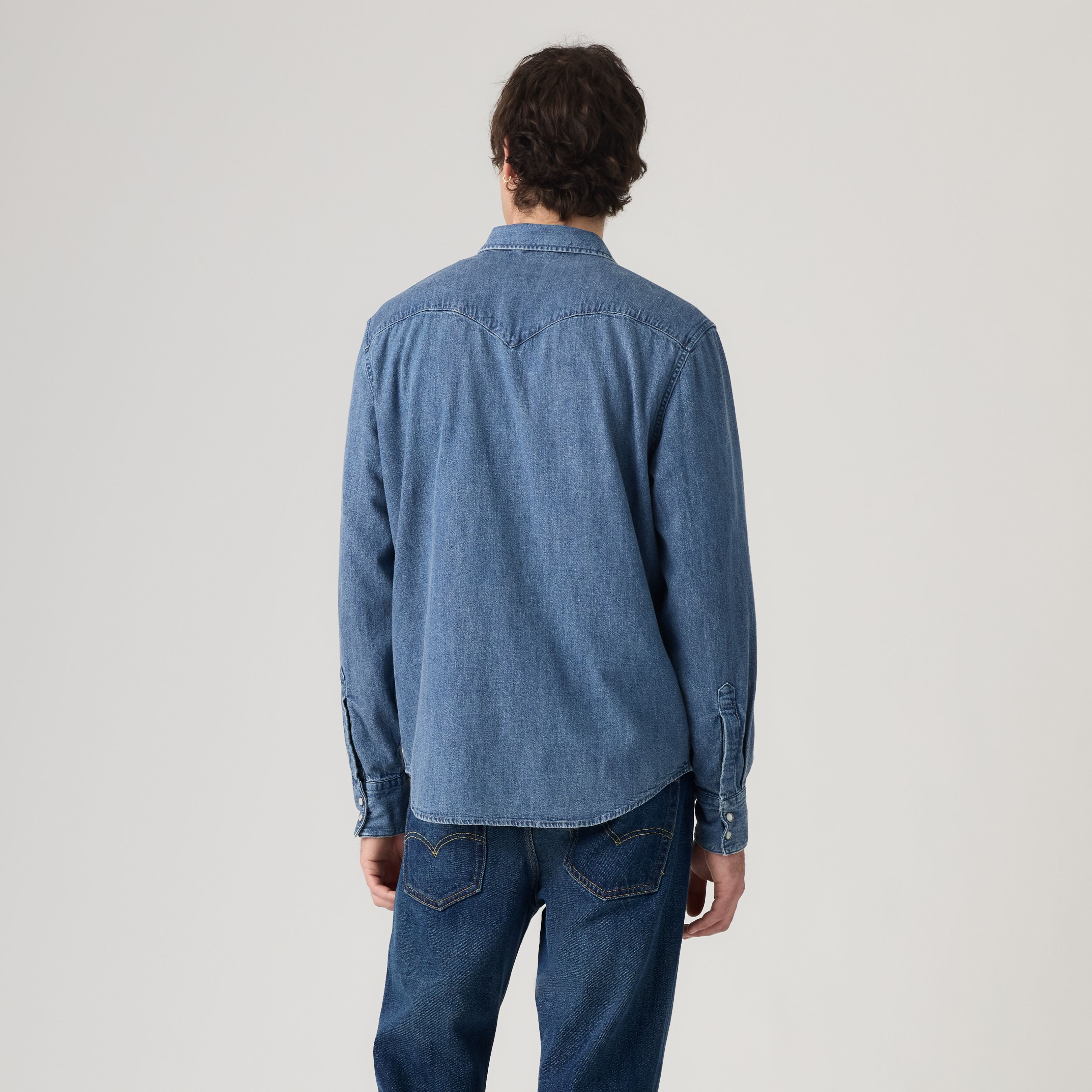 Barstow Standard Fit Western Shirt 4