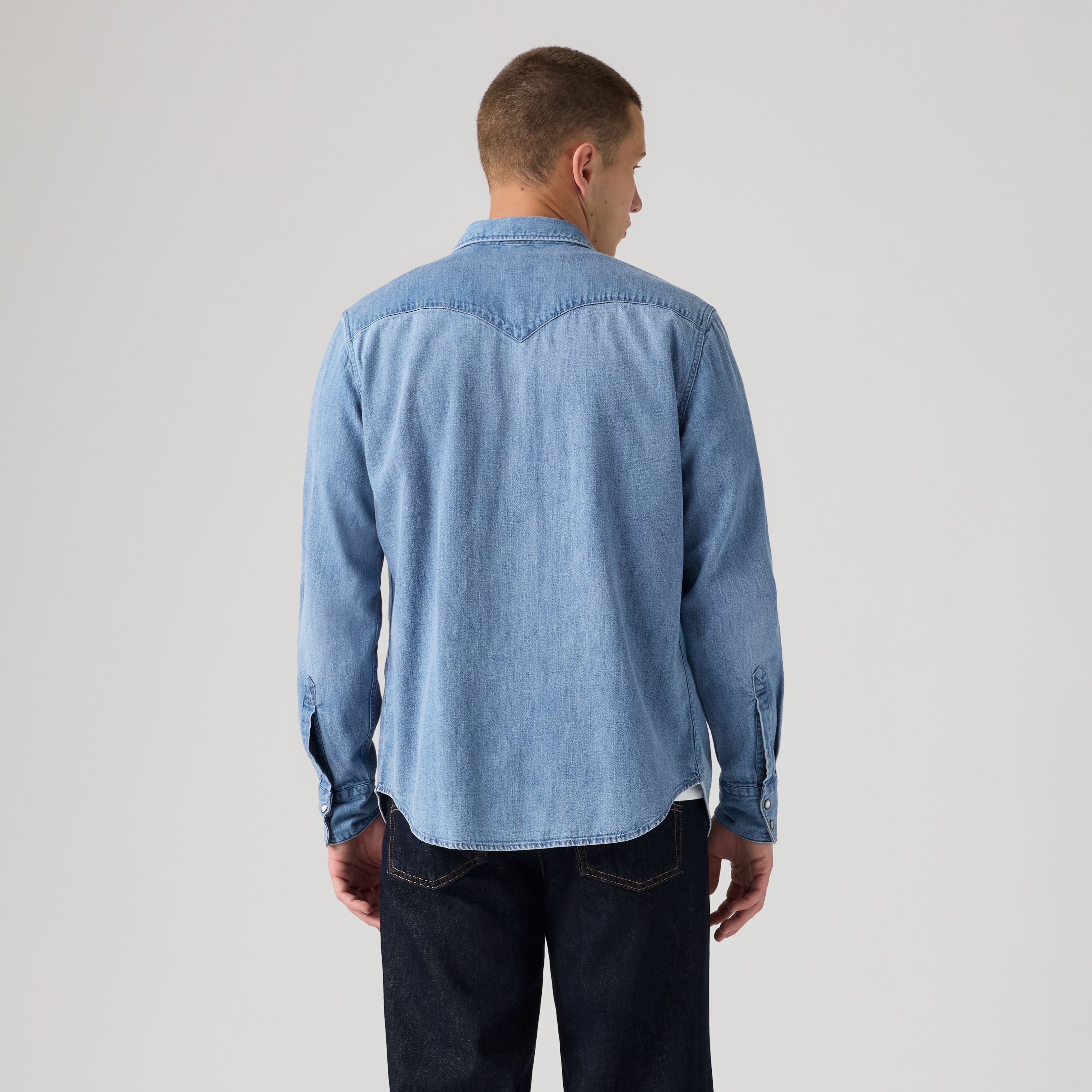 Barstow Standard Fit Western Shirt 4
