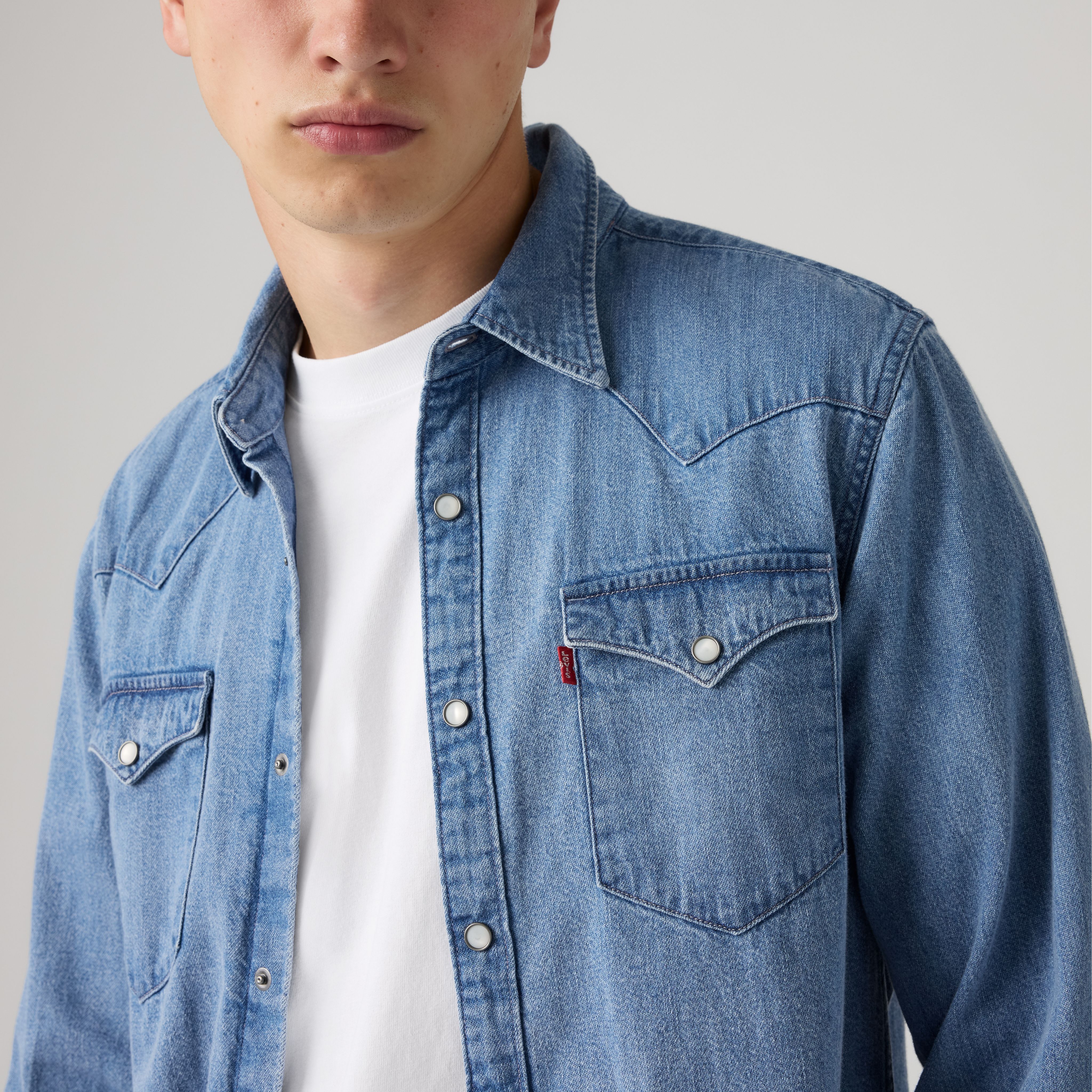 Barstow Standard Fit Western Shirt 2