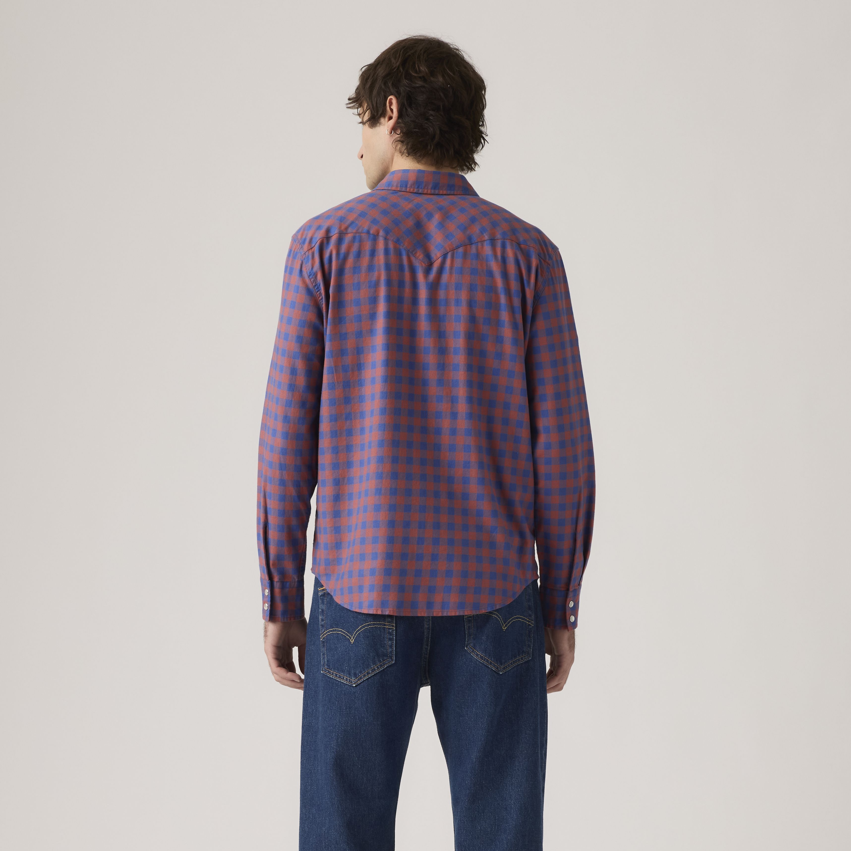 Classic Western Standard Fit Shirt 4