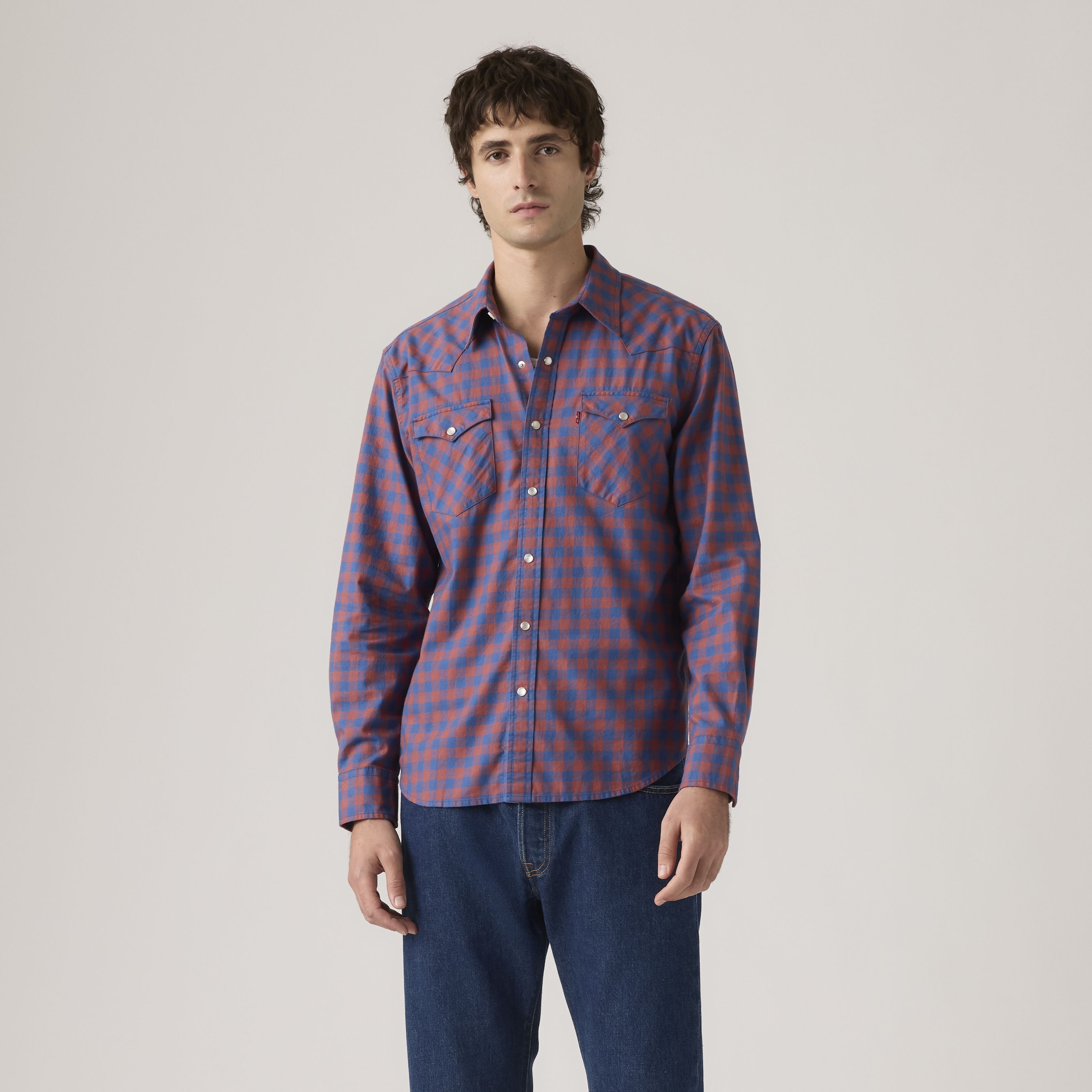 Classic Western Standard Fit Shirt 3