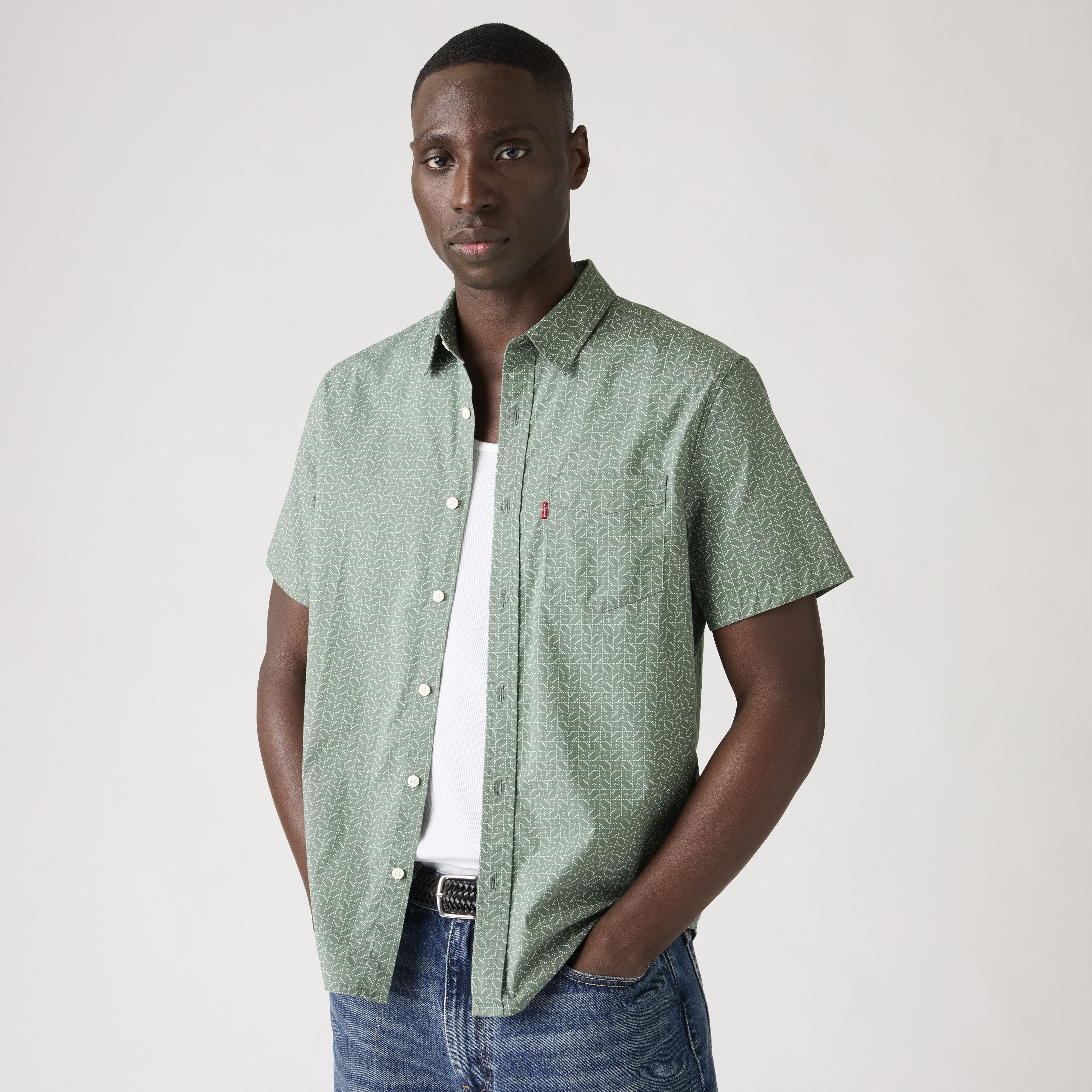 Short-Sleeve Classic Standard Fit Shirt 1